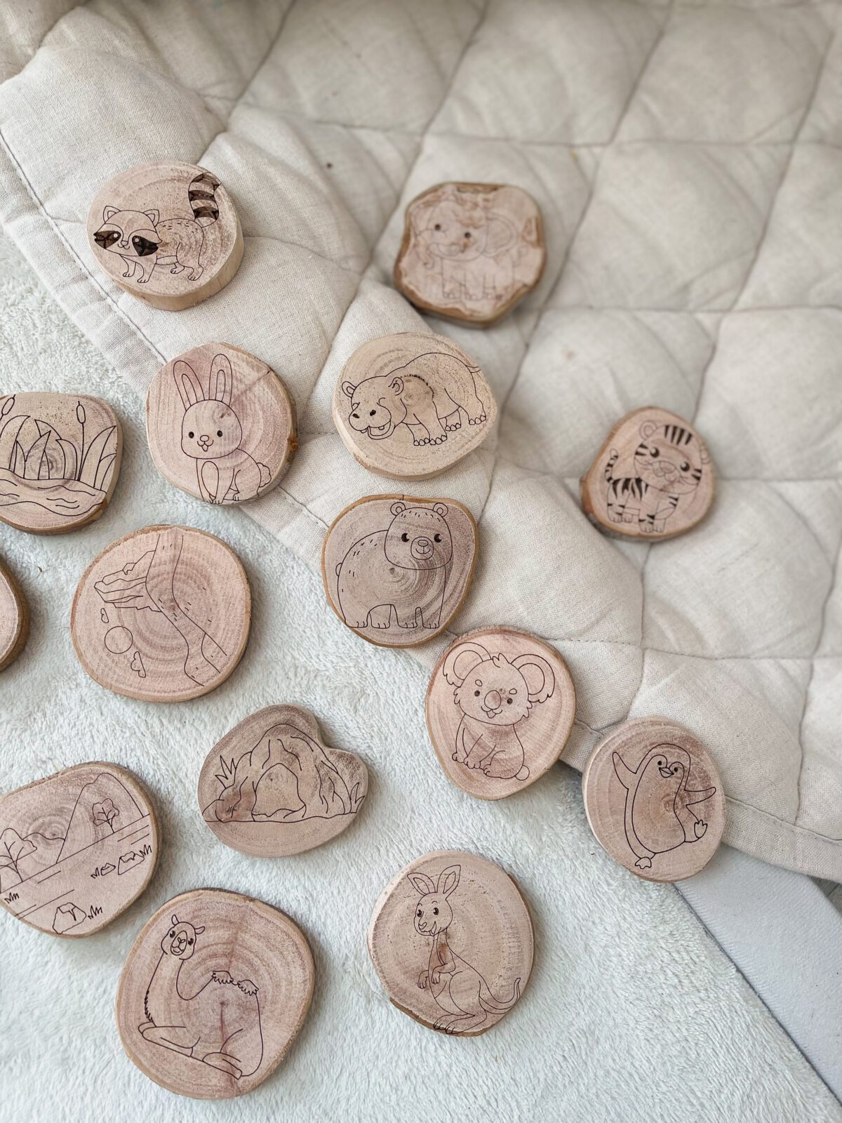 Animal Footprints & Habitat Set - Image 7