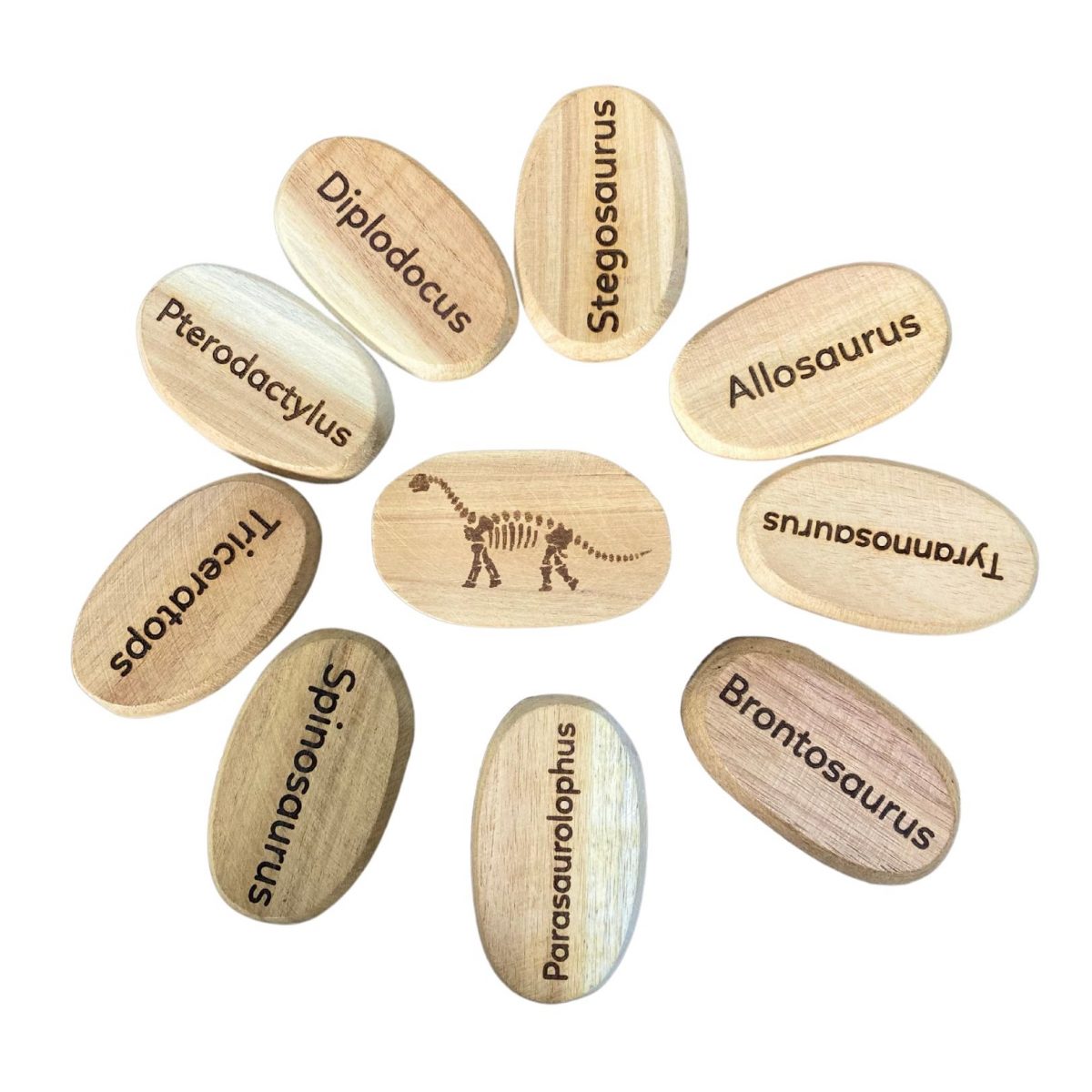 Dinosaur Stones Set of 10 - Image 4