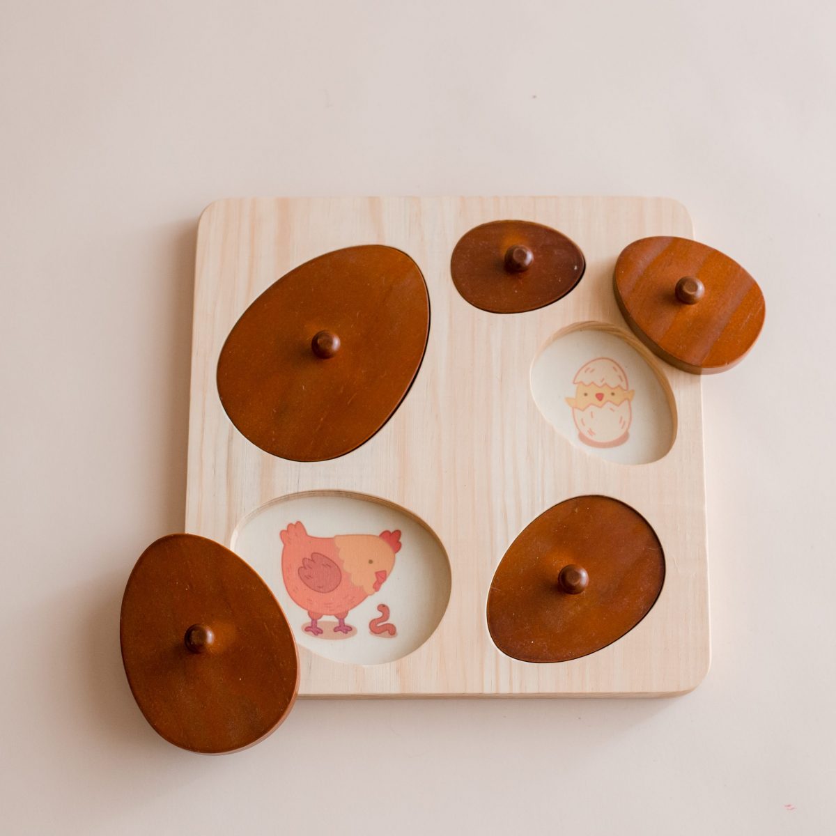 Hen Life Cycle Puzzle - Image 4