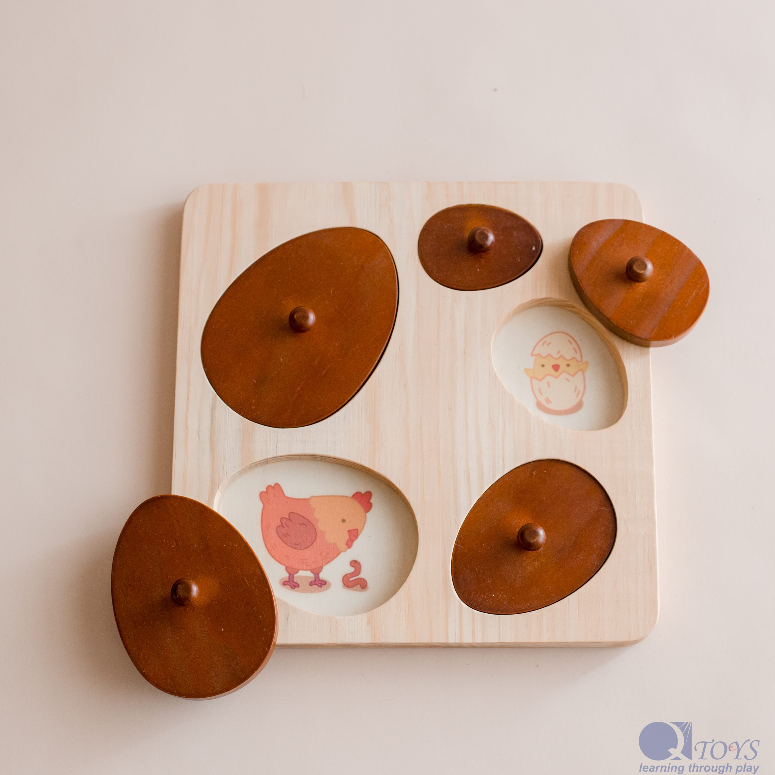 Hen Life Cycle Puzzle - Image 4