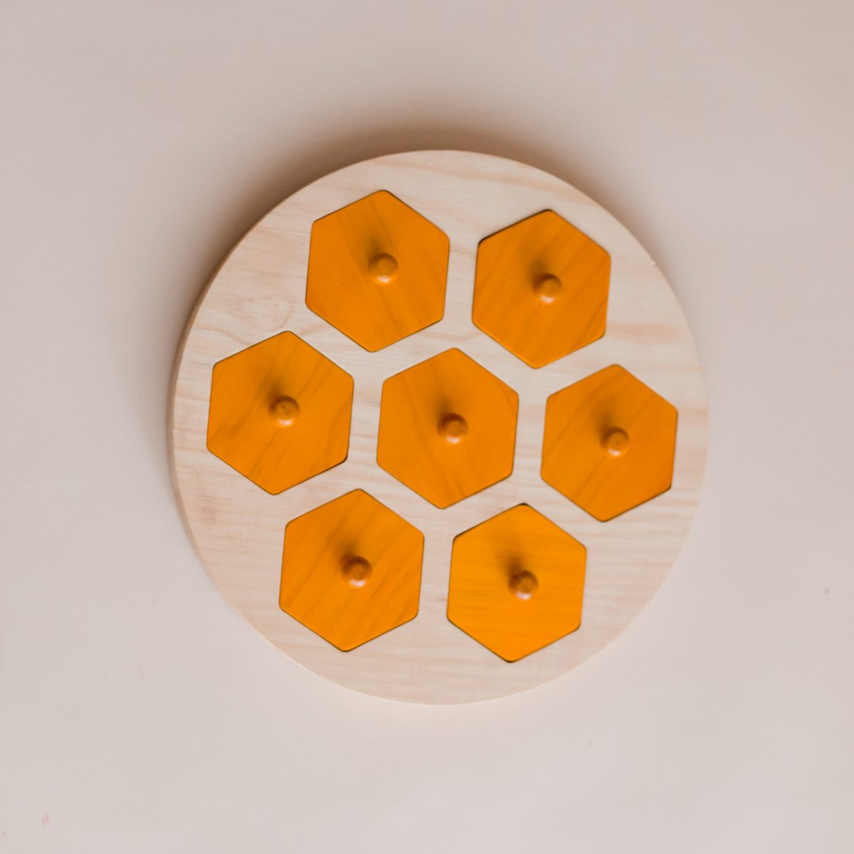 Bee Life Cycle Hive - Image 3