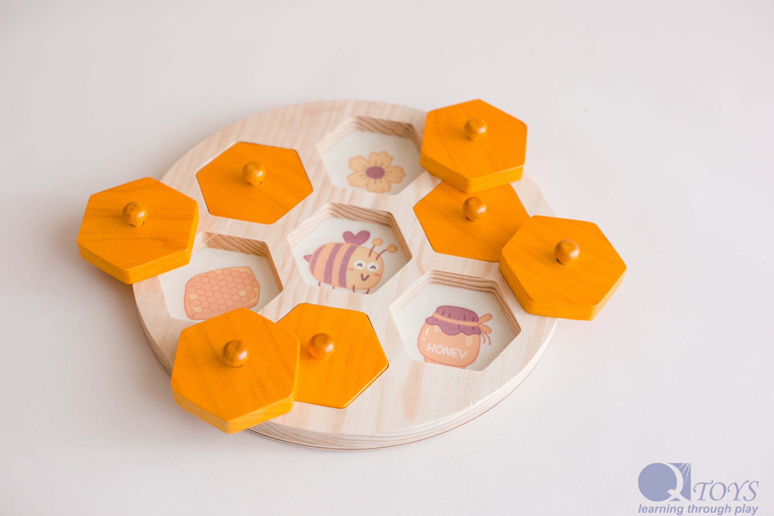 Bee Life Cycle Hive - Image 4