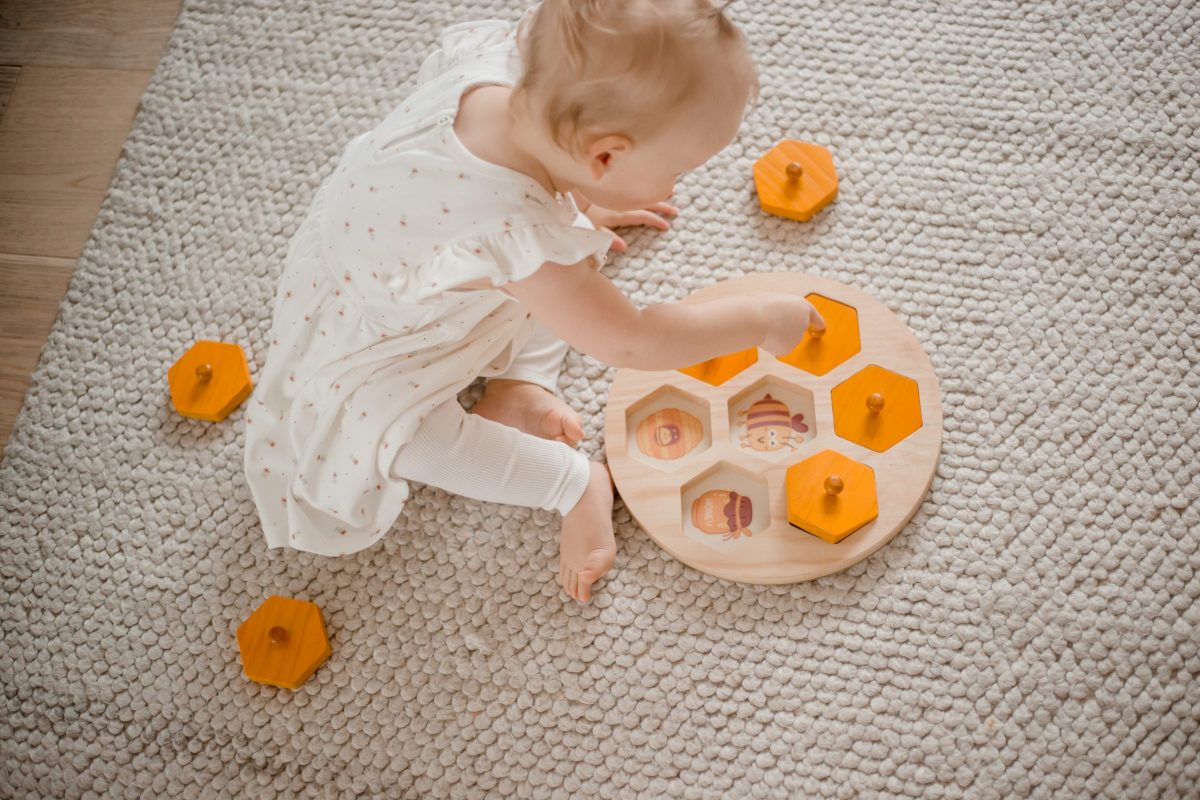 Bee Life Cycle Hive - Image 2