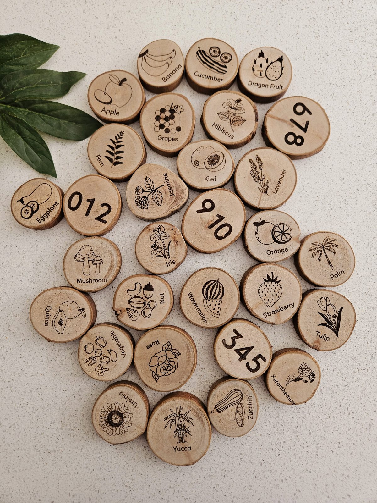Natural Flora Alphabet Set - Image 8