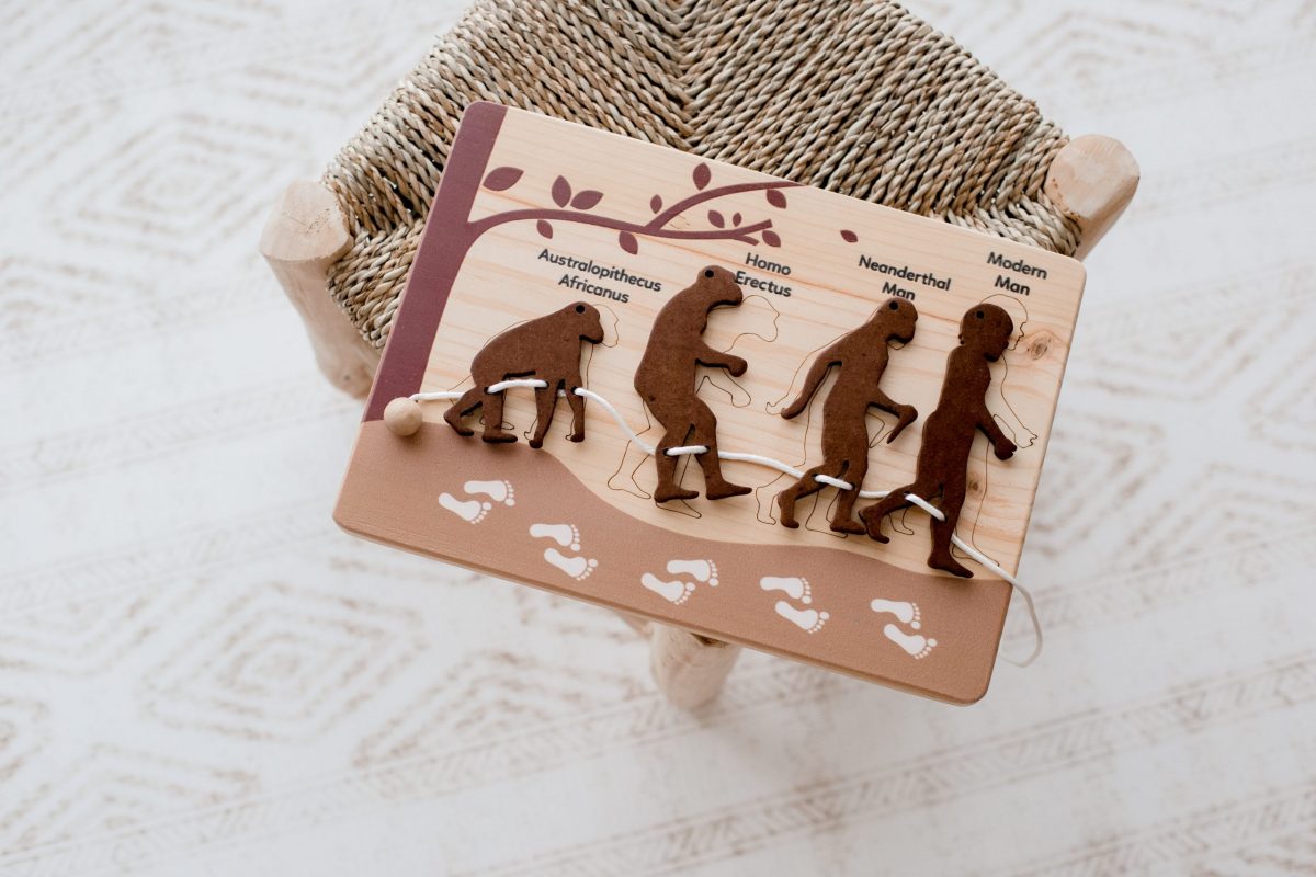 Human Evolution Puzzle & Lacing Set