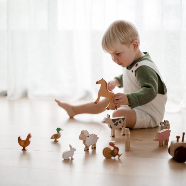 Farm Animals and Tractor Set