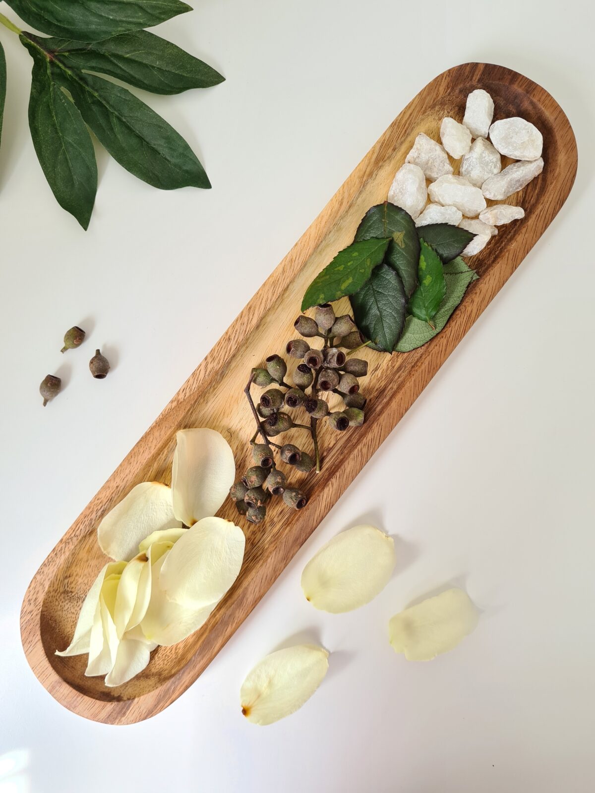 Wooden Bread or Finger Food Tray - Image 5