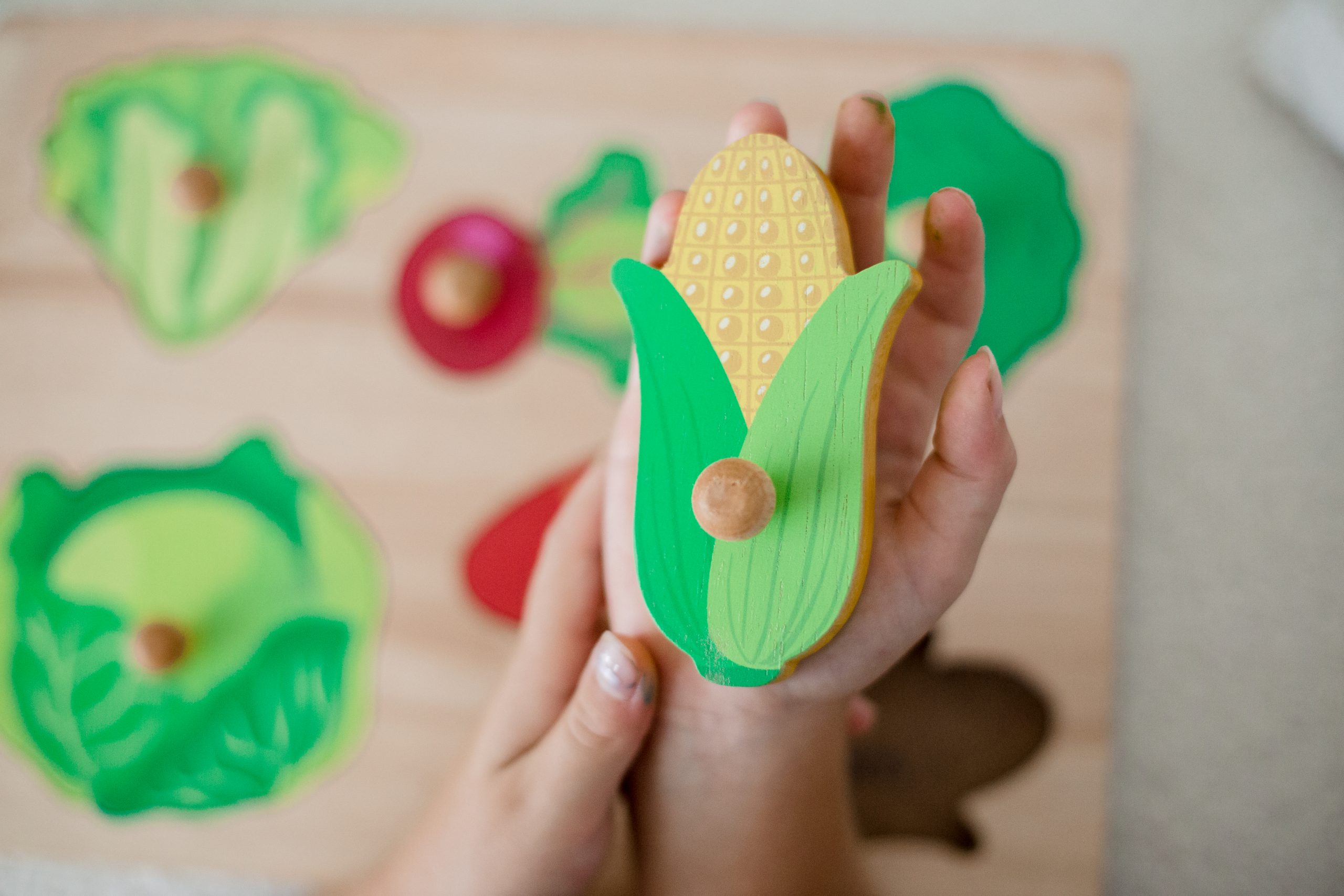 Vegetable Knob puzzle - Image 4