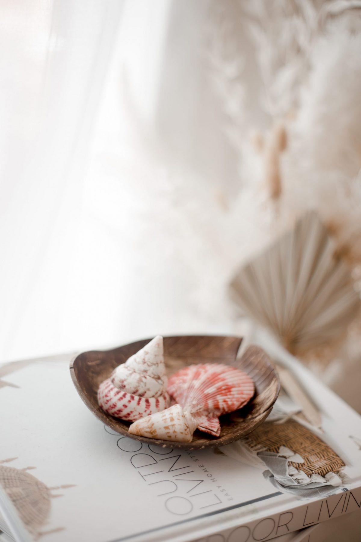 Coconut Fish Tray - Image 4
