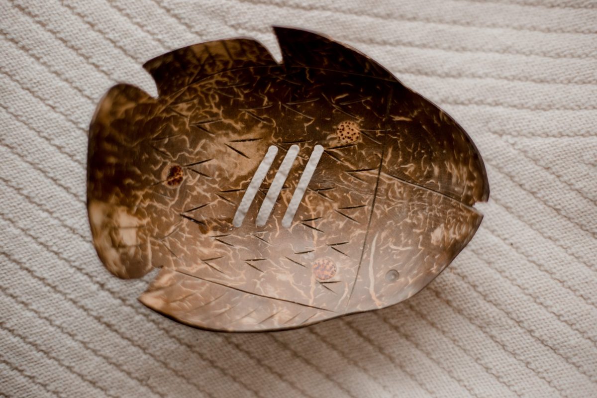 Coconut Shell Trinket Dish - Image 14