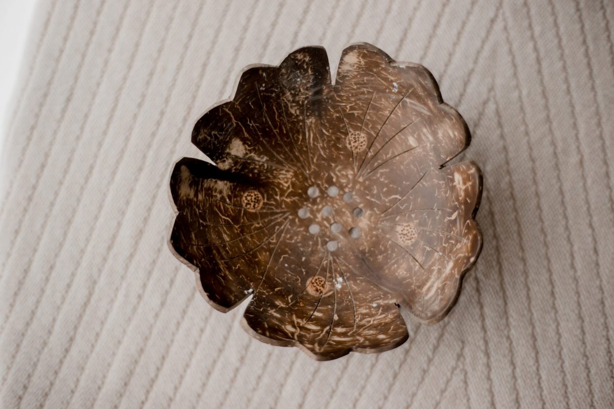 Coconut Shell Trinket Dish - Image 12