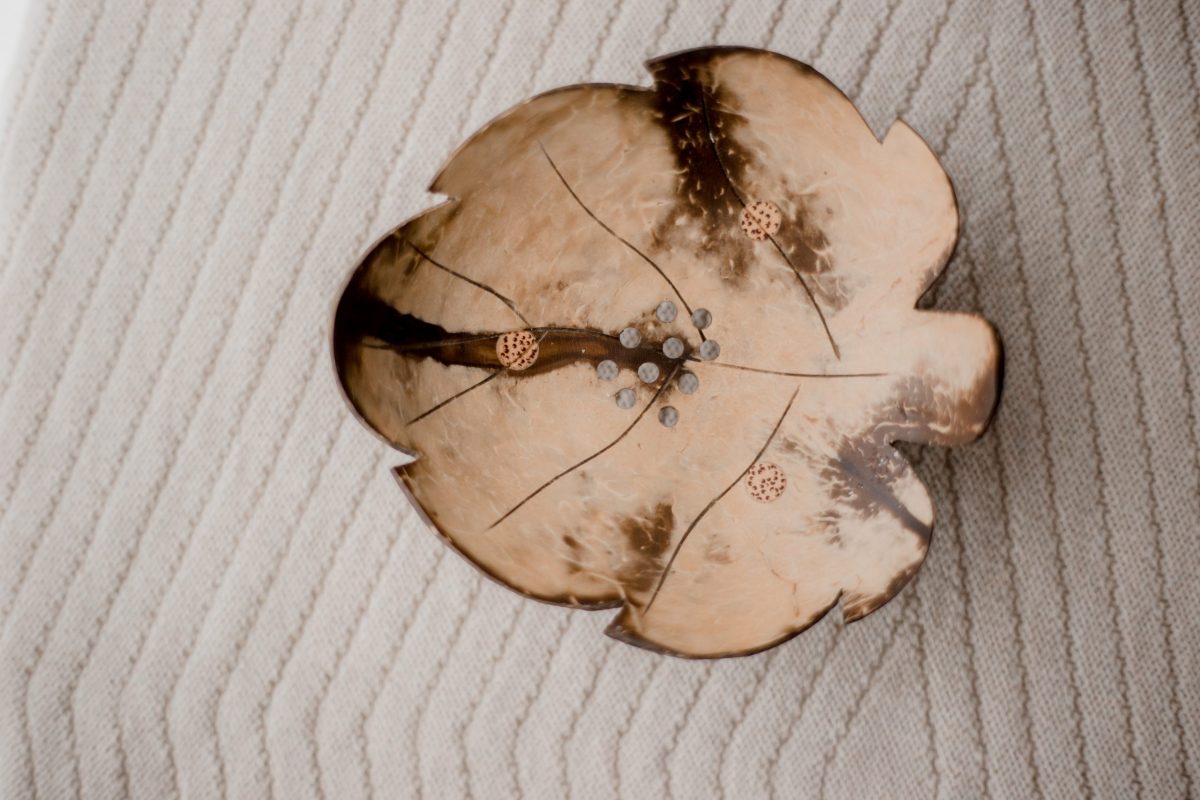 Coconut Shell Trinket Dish - Image 10