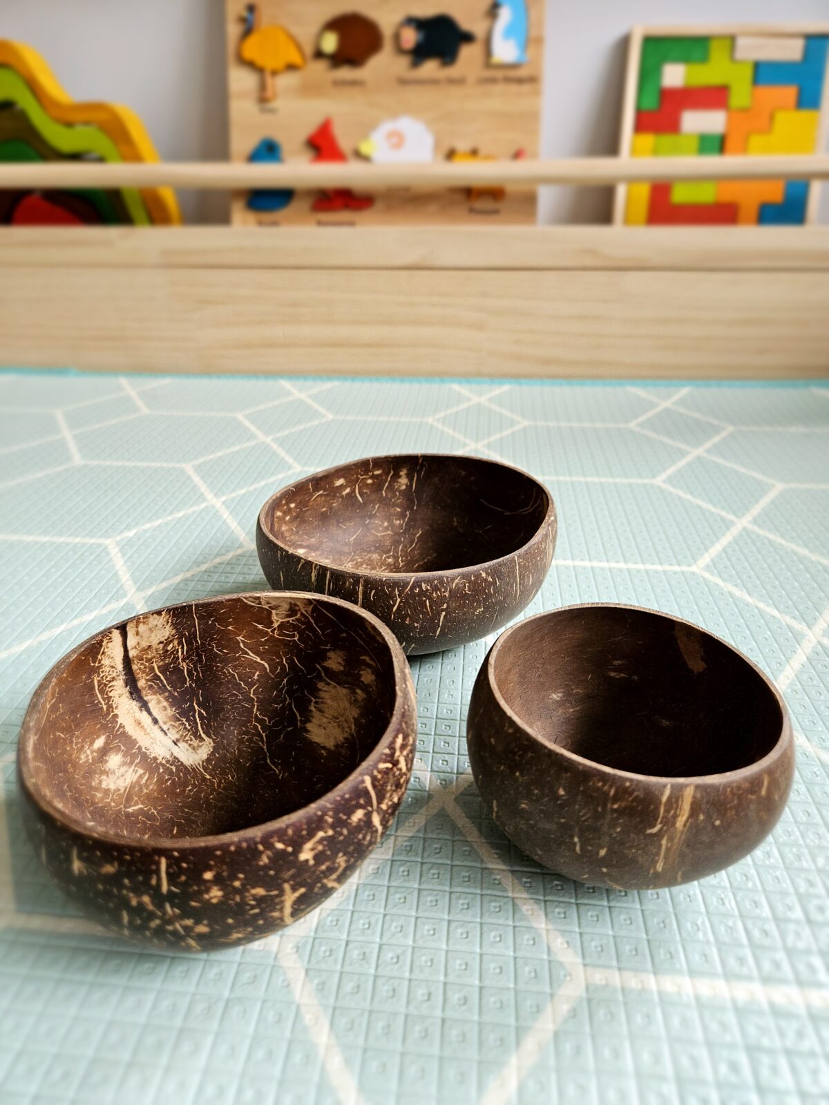 Coconut Bowls Set of 3 - Image 3