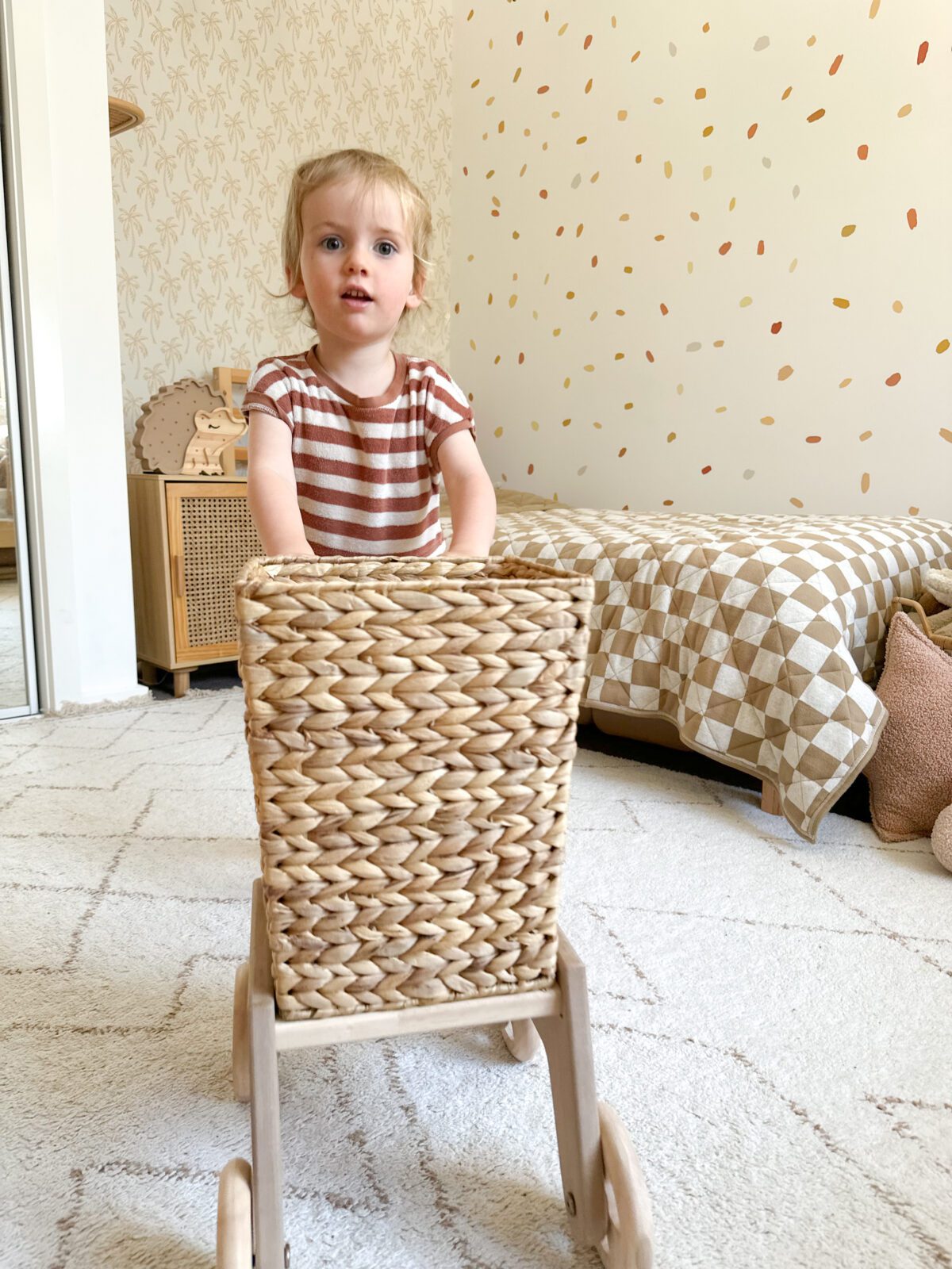 Wicker Shopping Trolley - Image 5