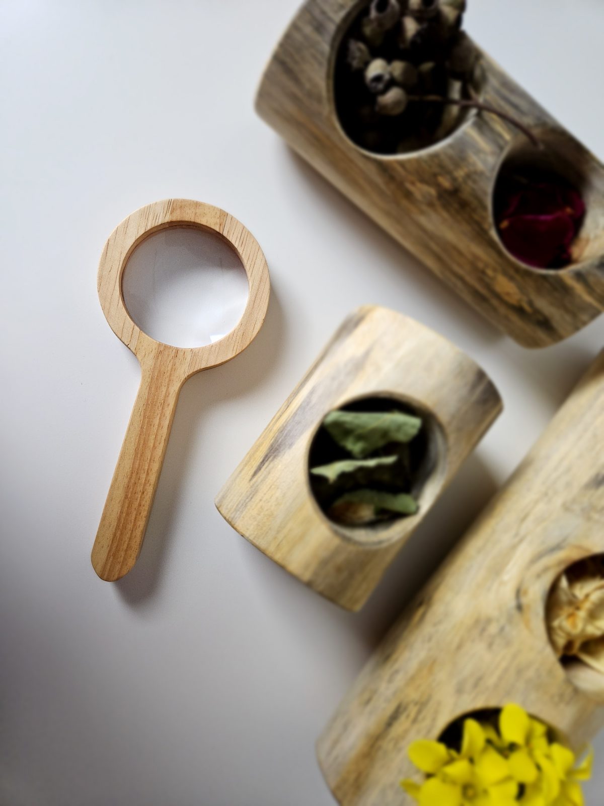 Magnifying glass - Image 4