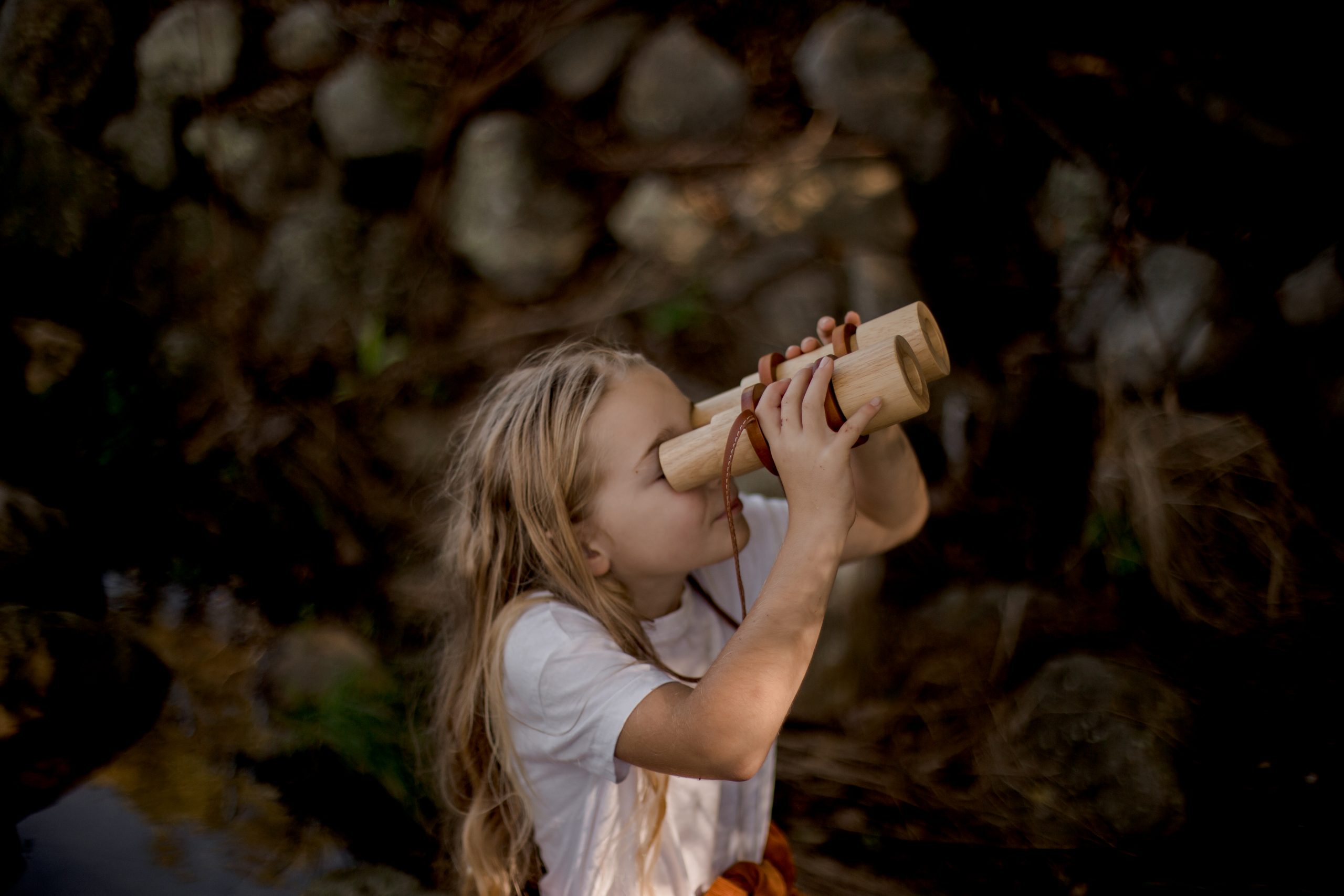 Wooden Binoculars - Image 6