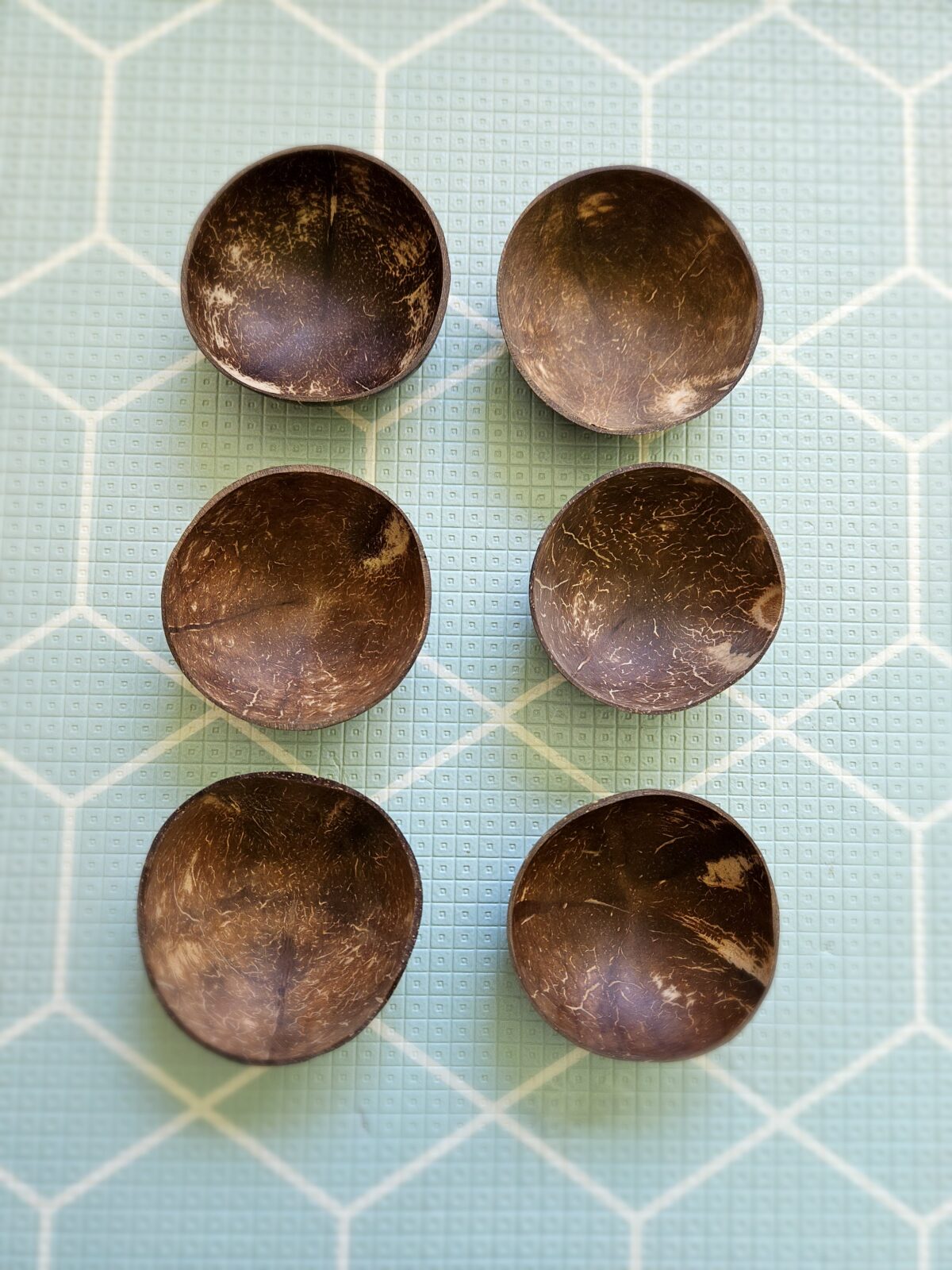 Coconut Bowls Set of 6 - Image 4