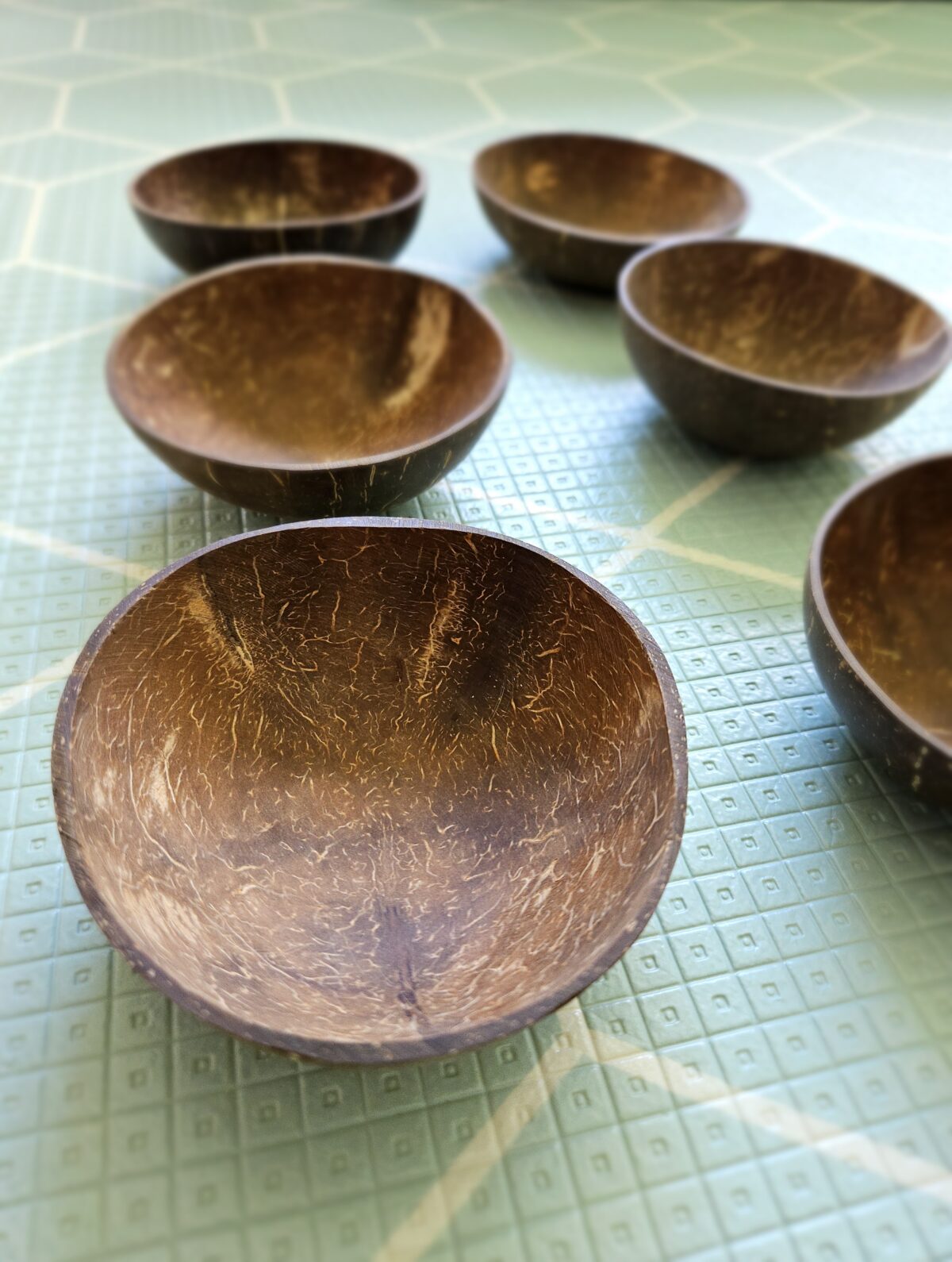 Coconut Bowls Set of 6 - Image 5