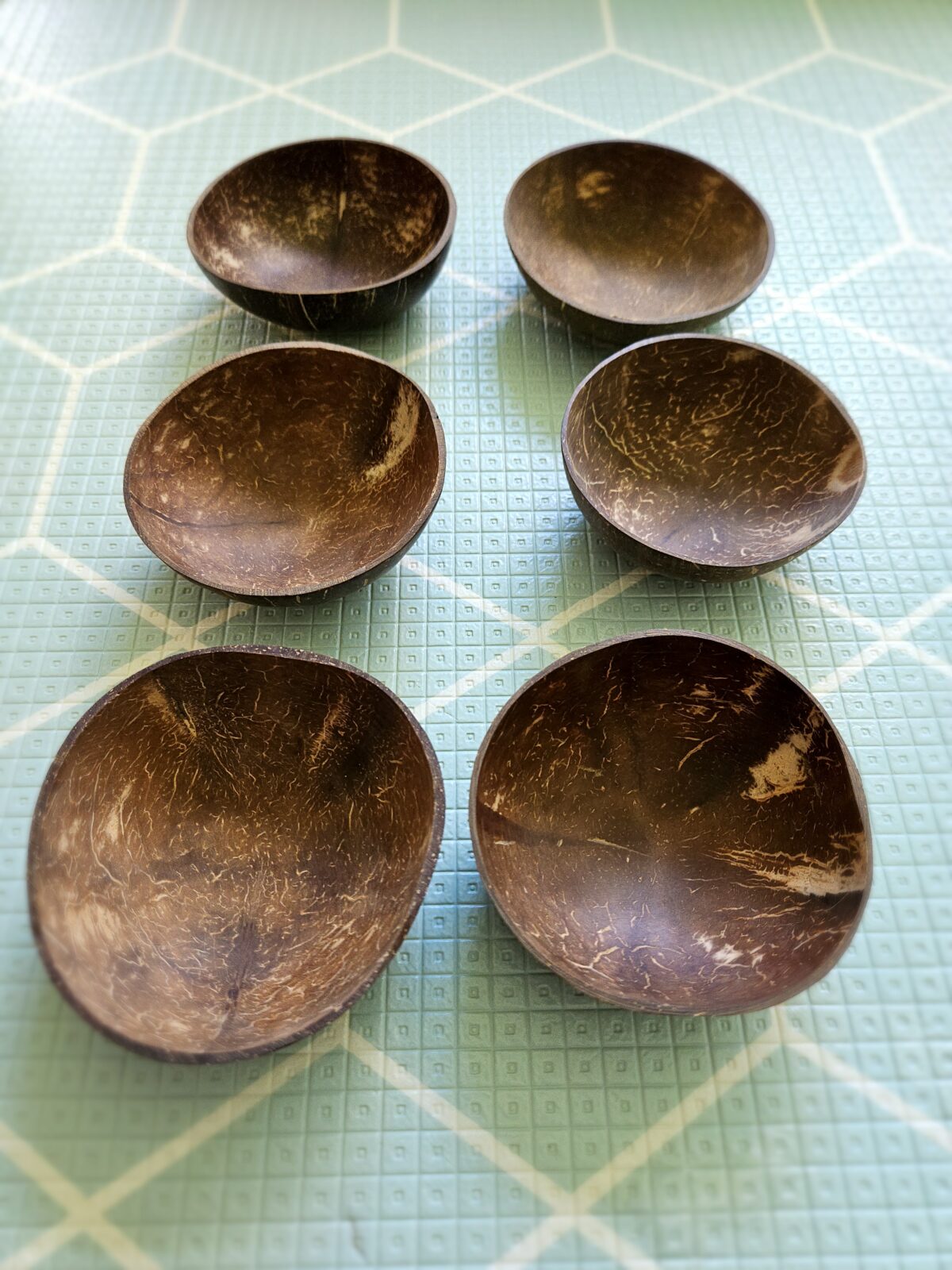 Coconut Bowls Set of 6 - Image 6