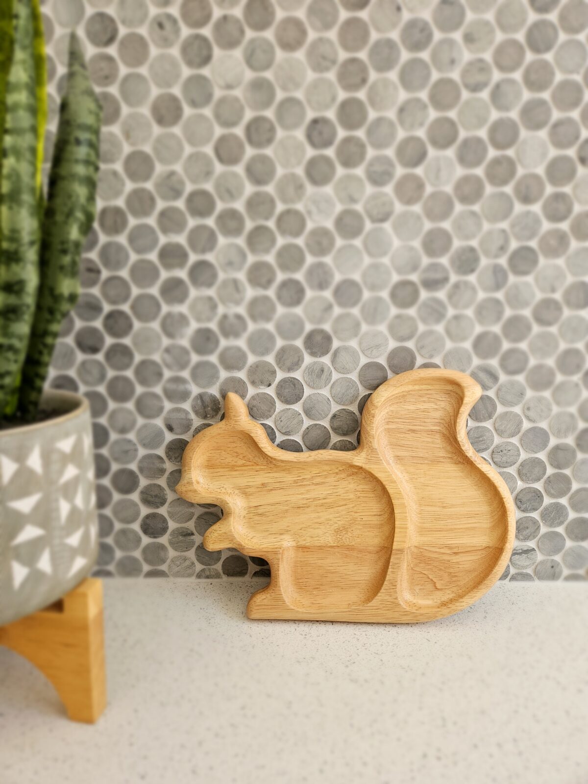 Squirrel tray - Image 5