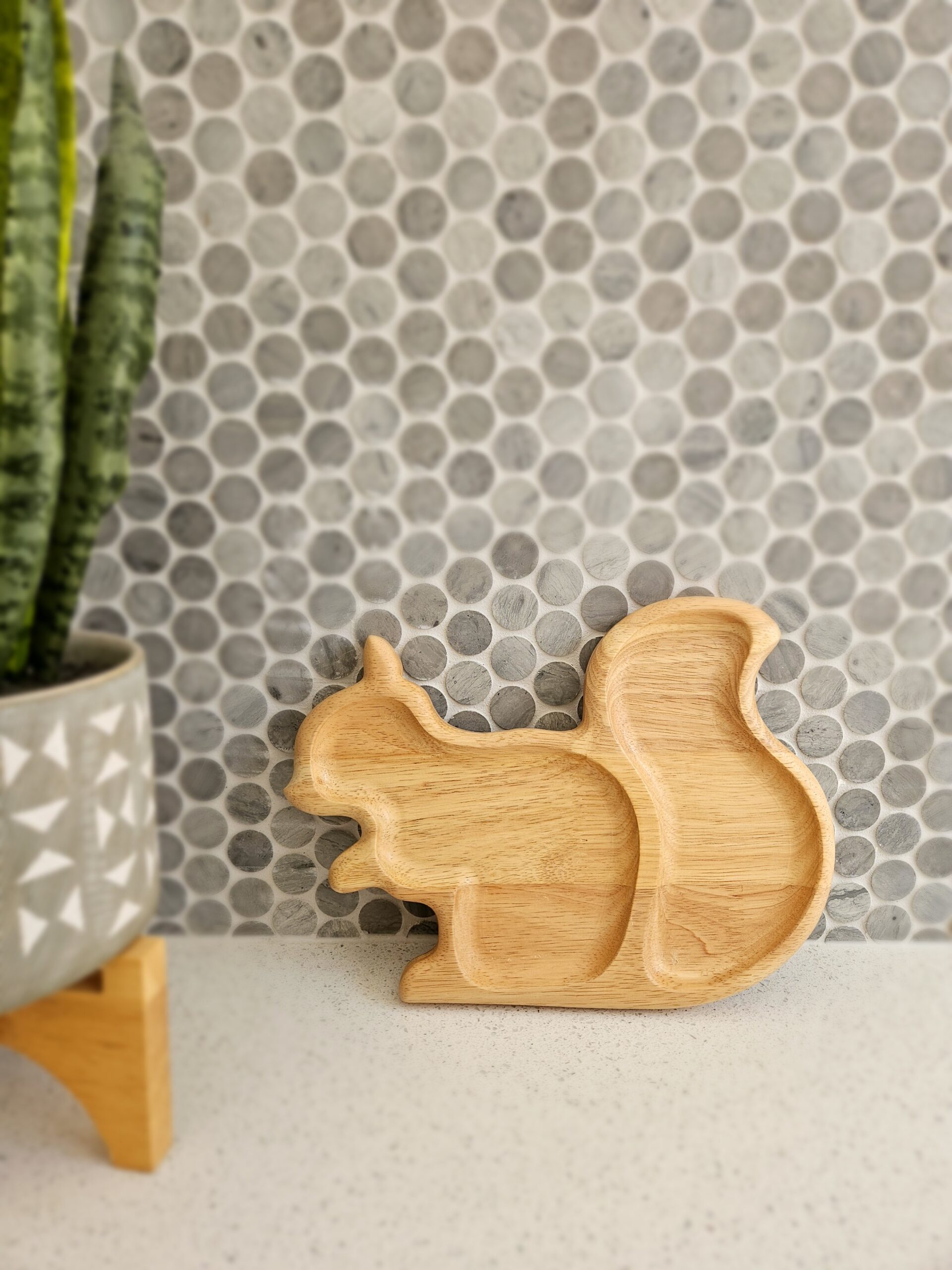 tag merlyn.godinho (9) Squirrel tray - Image 5
