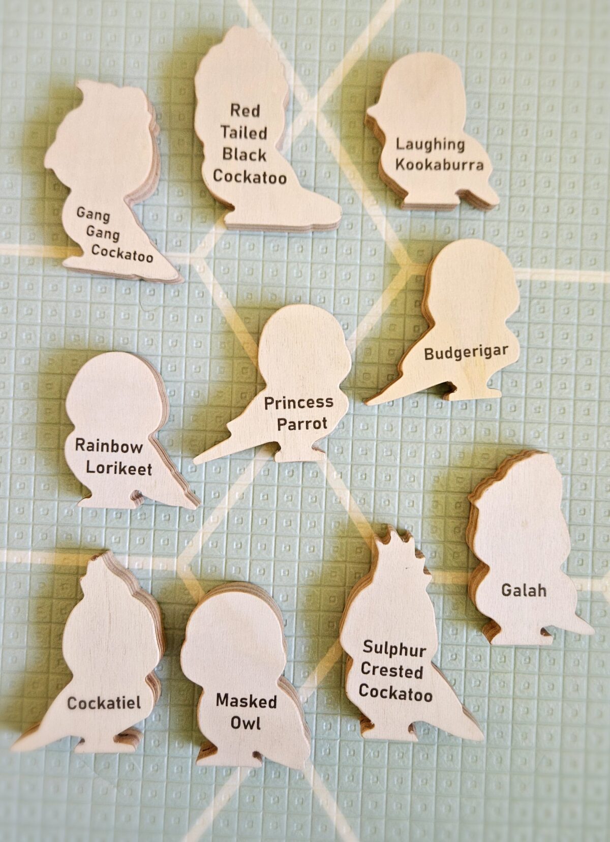 Australian Birds Set of 10 -464