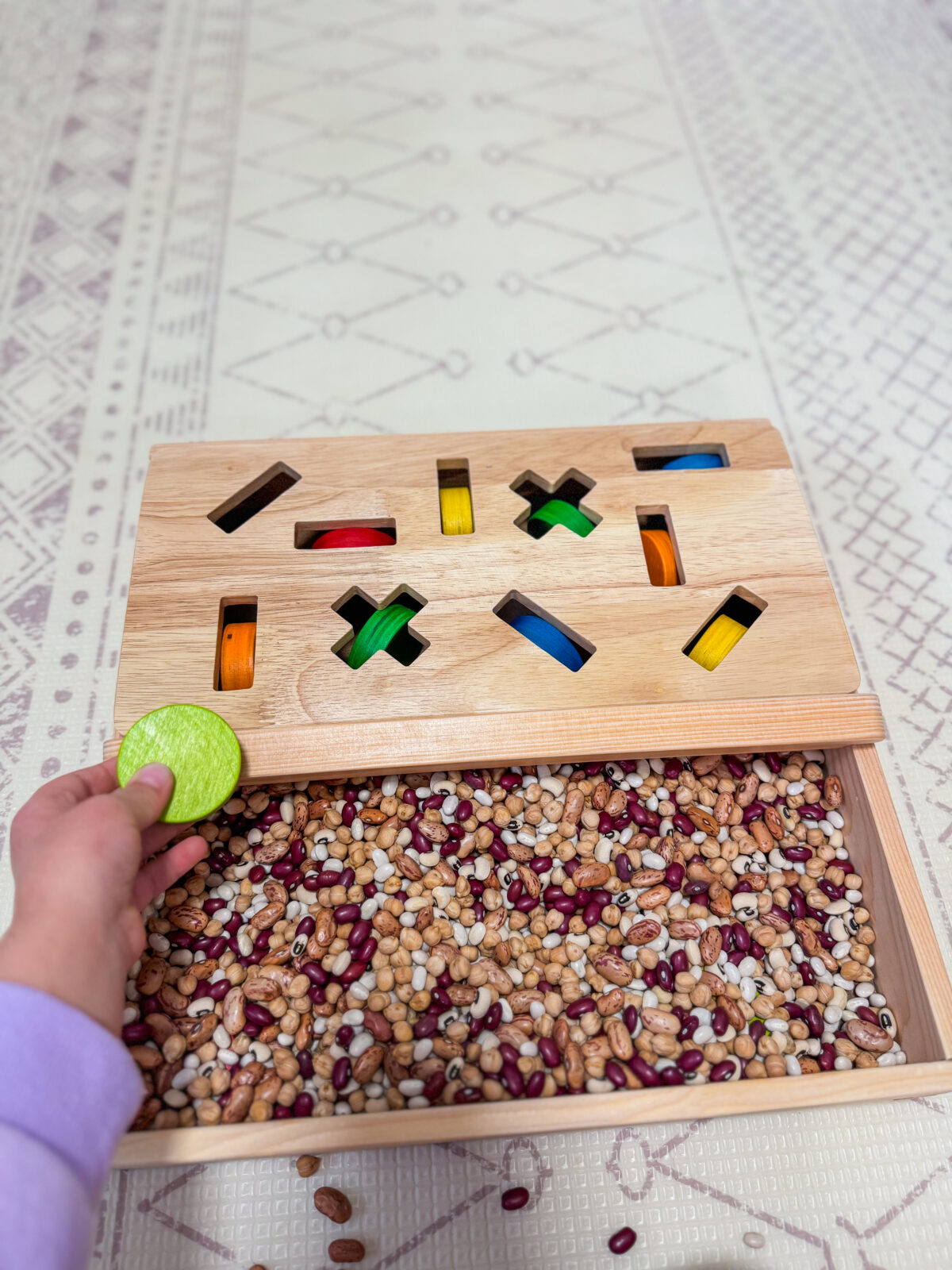 Coin Tray Insert - Image 5