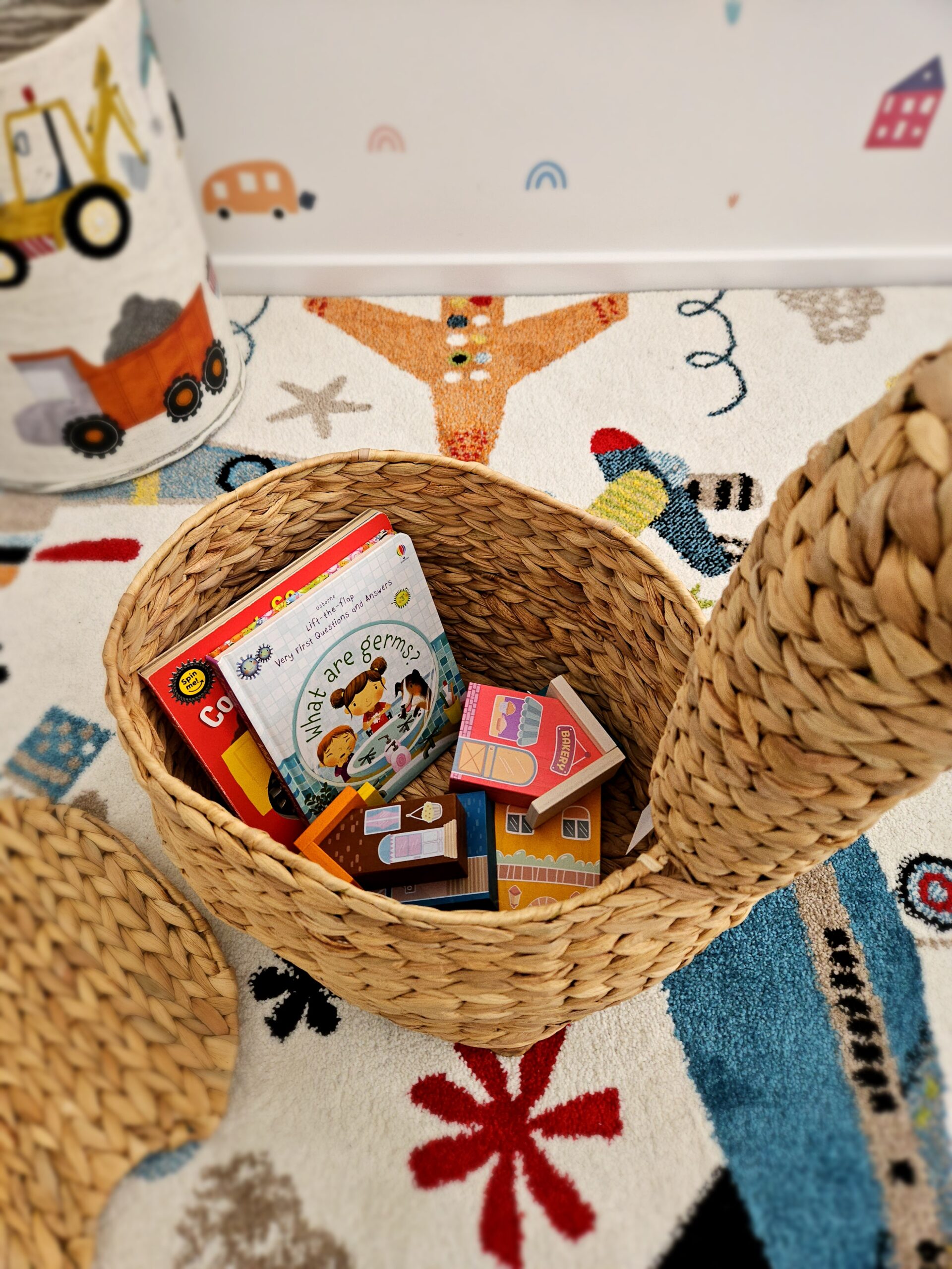 20241003_101848 Animal Storage Basket - Image 5