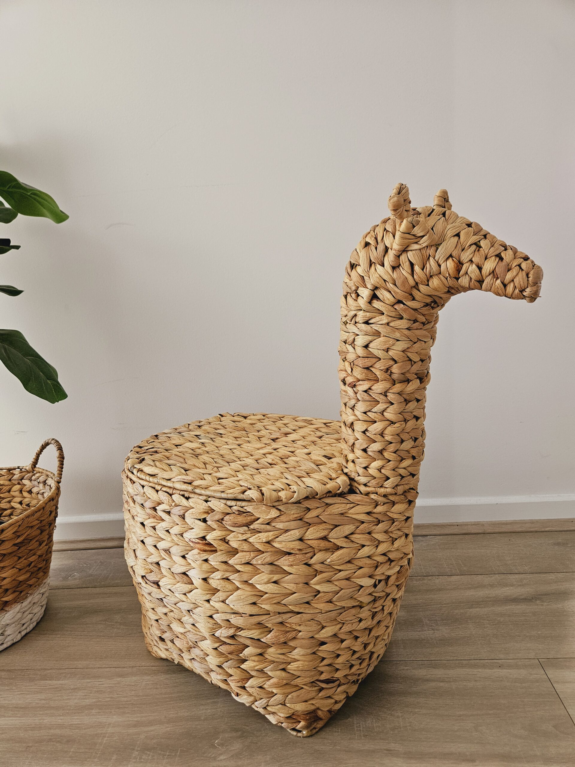 20241003_104403 Animal Storage Basket - Image 4