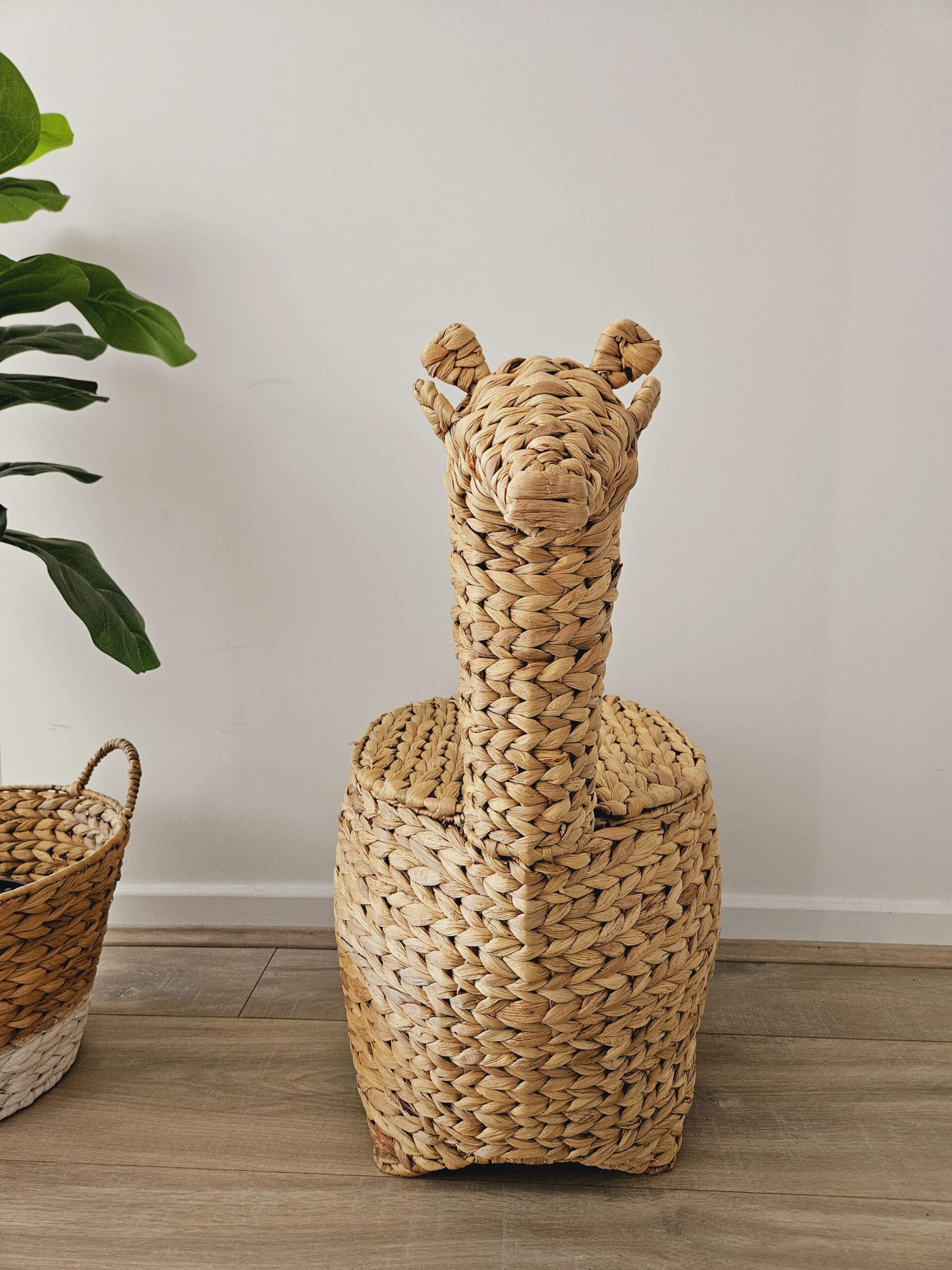 20241003_104514 Animal Storage Basket - Image 3