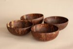 Coconut Large Bowls Set of 4