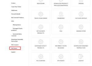 Qtoys Rewards Program
