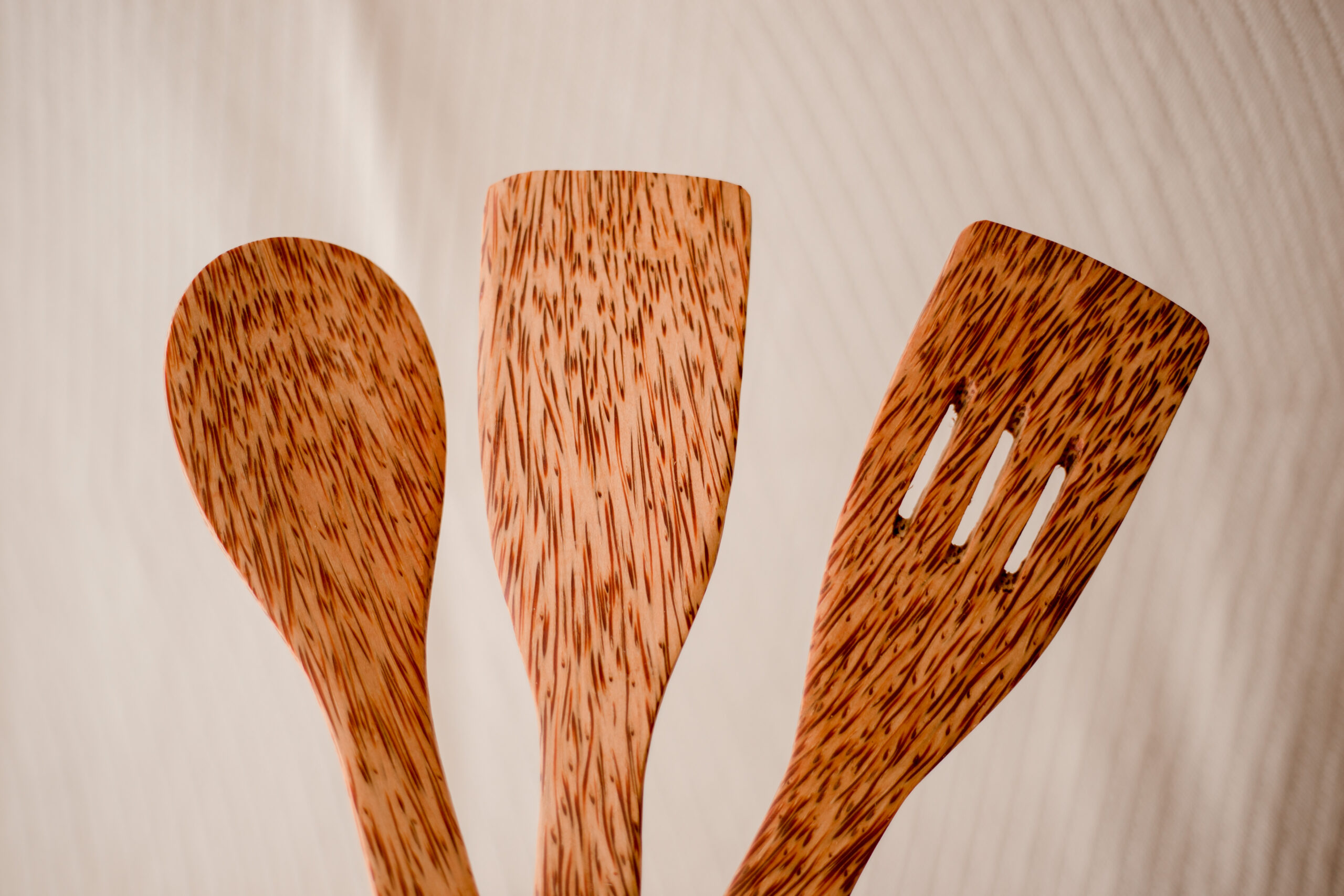 Coconut Wood Utensil (Set of 2) - Image 6