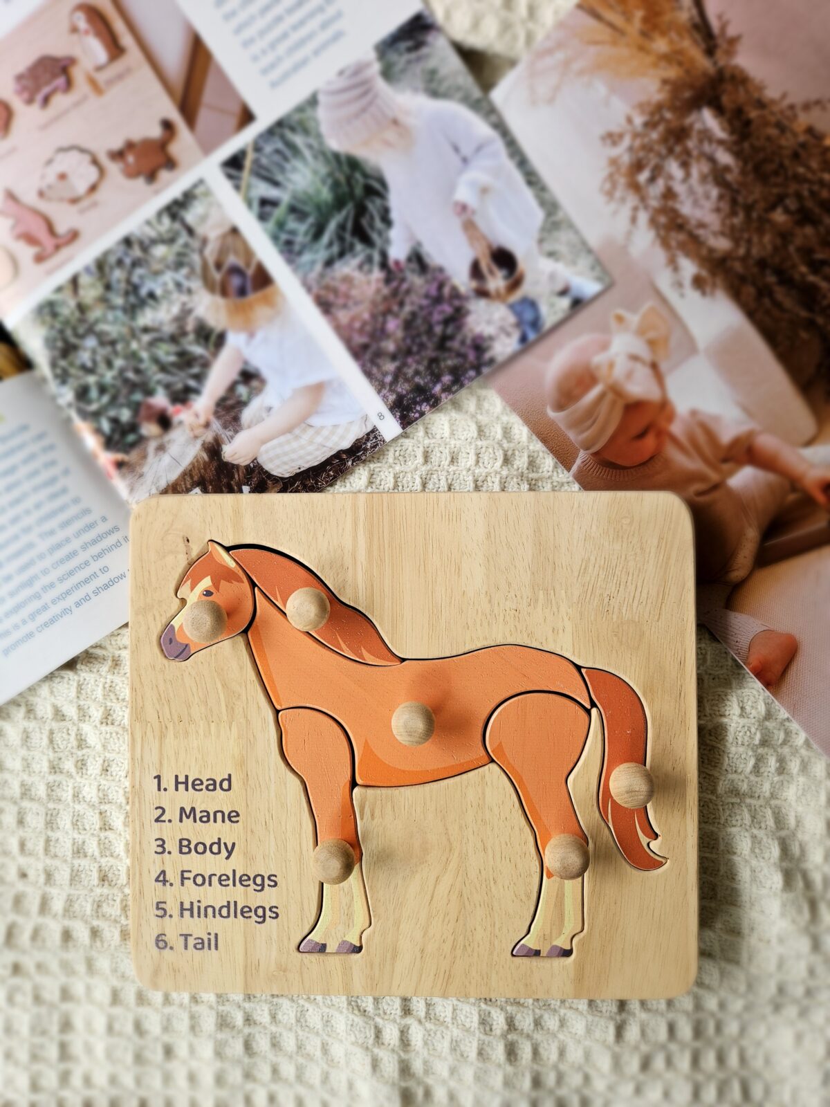 Horse Knob Puzzle - Image 2