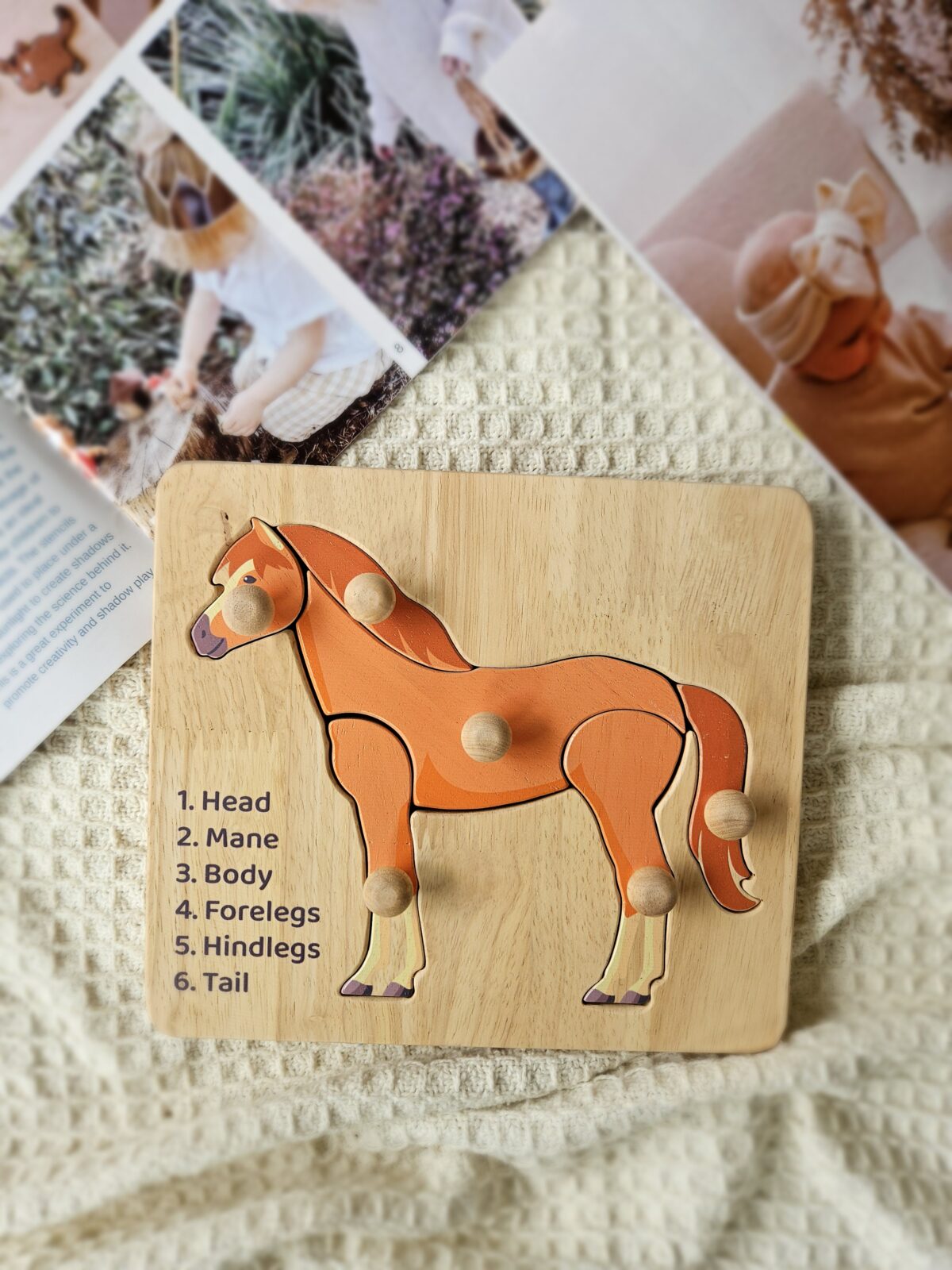 Horse Knob Puzzle - Image 4