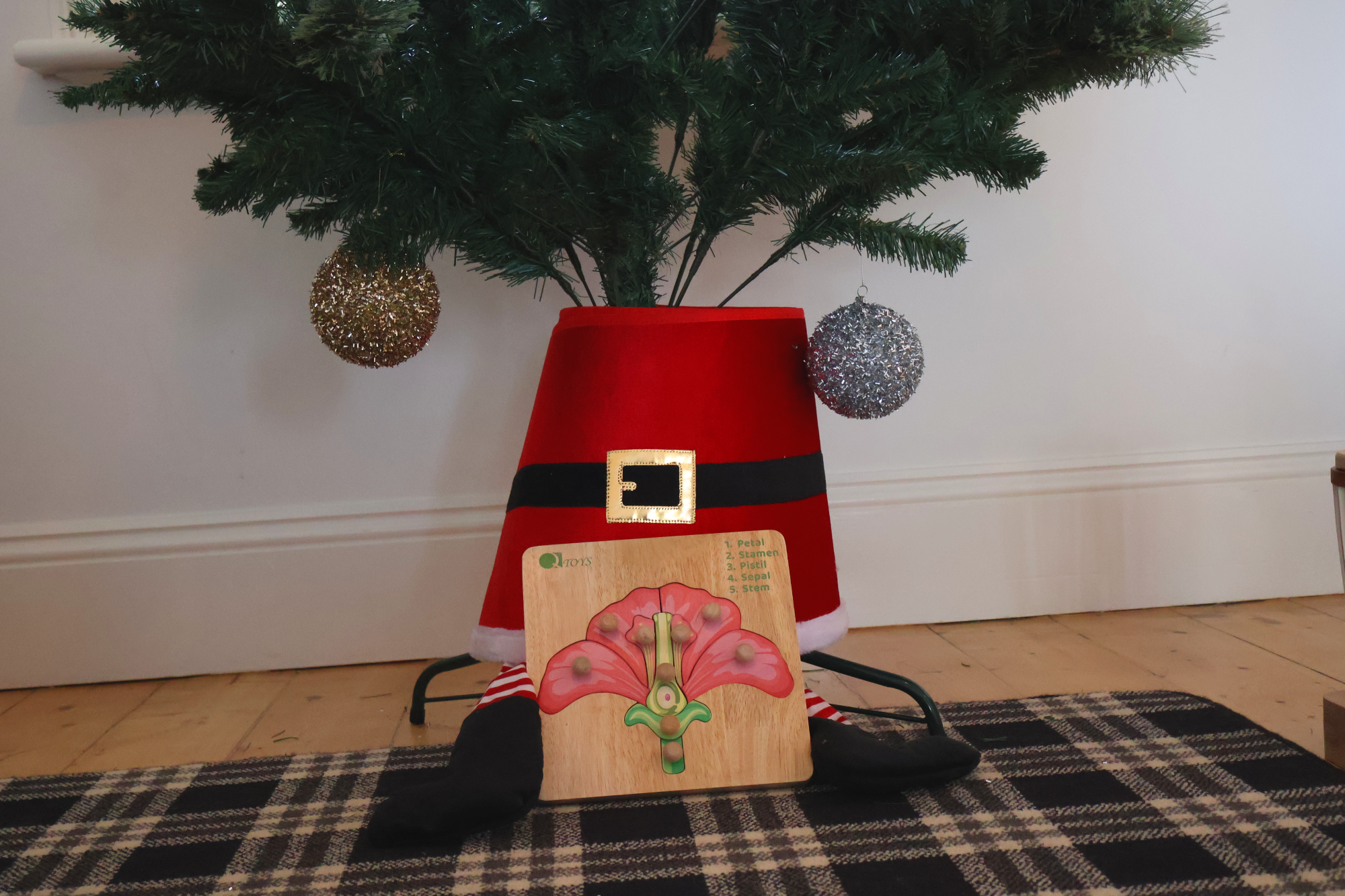 Montessori Parts of a Flower Puzzle