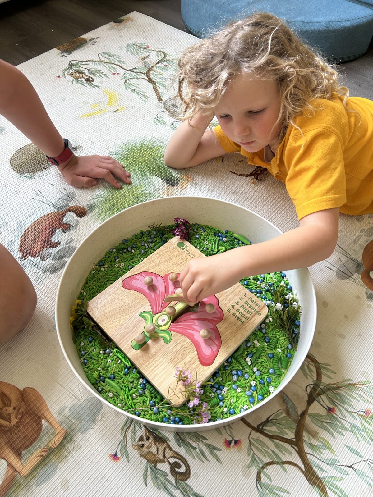 Montessori Parts of a Flower Puzzle - Image 5