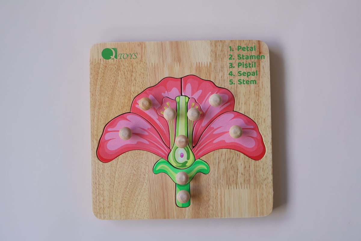 Montessori Parts of a Flower Puzzle - Image 2