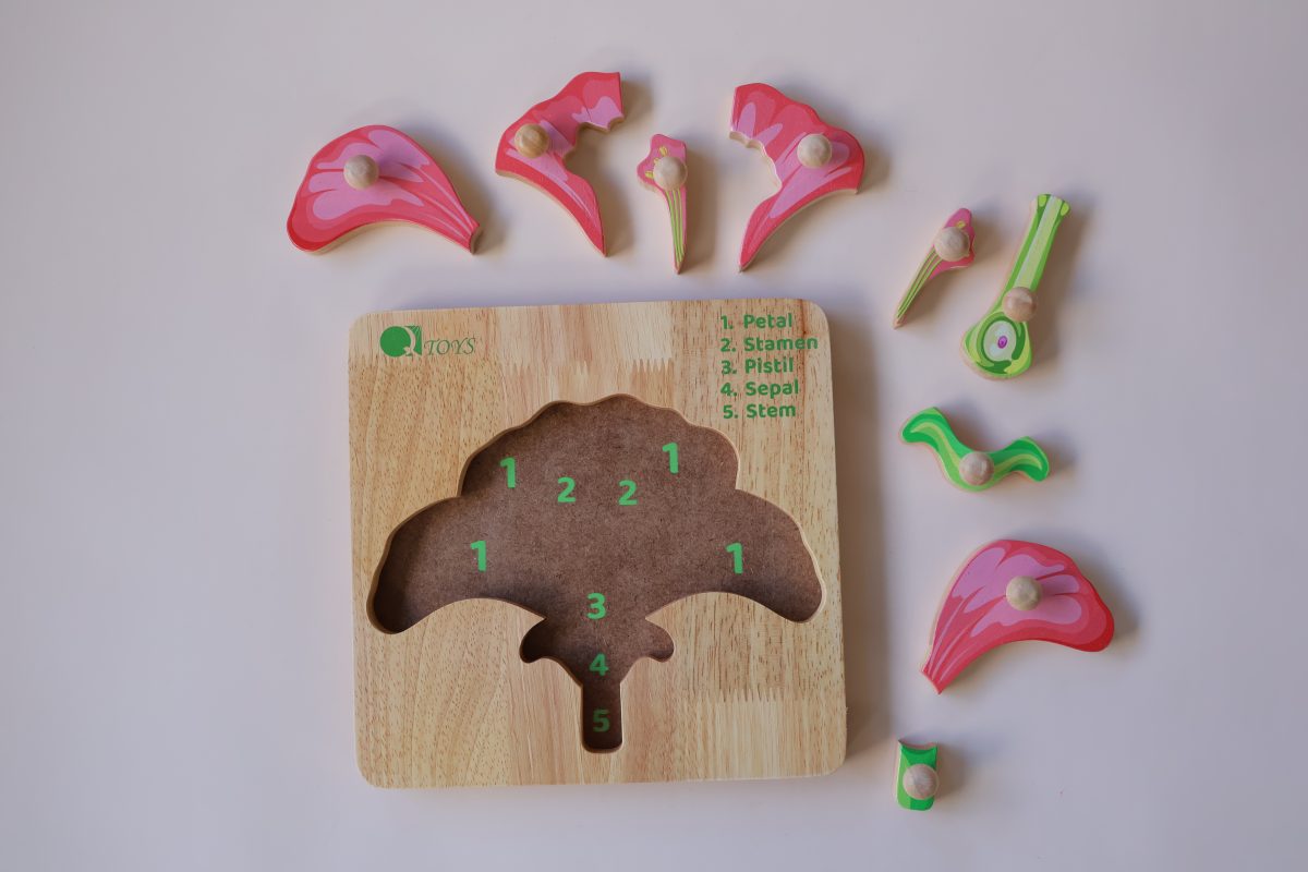 Montessori Parts of a Flower Puzzle - Image 3