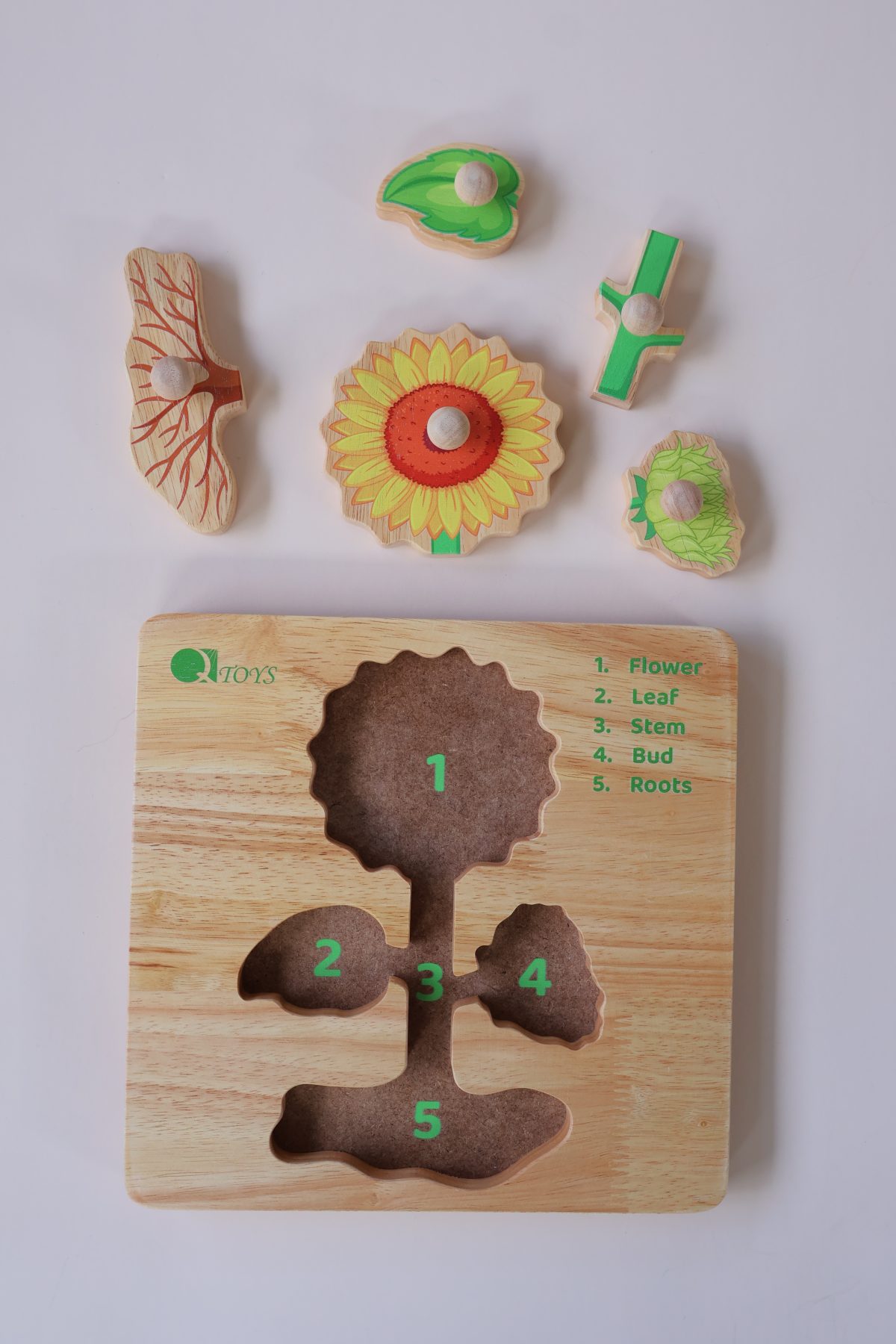 Montessori Parts of a Plant Puzzle - Image 4