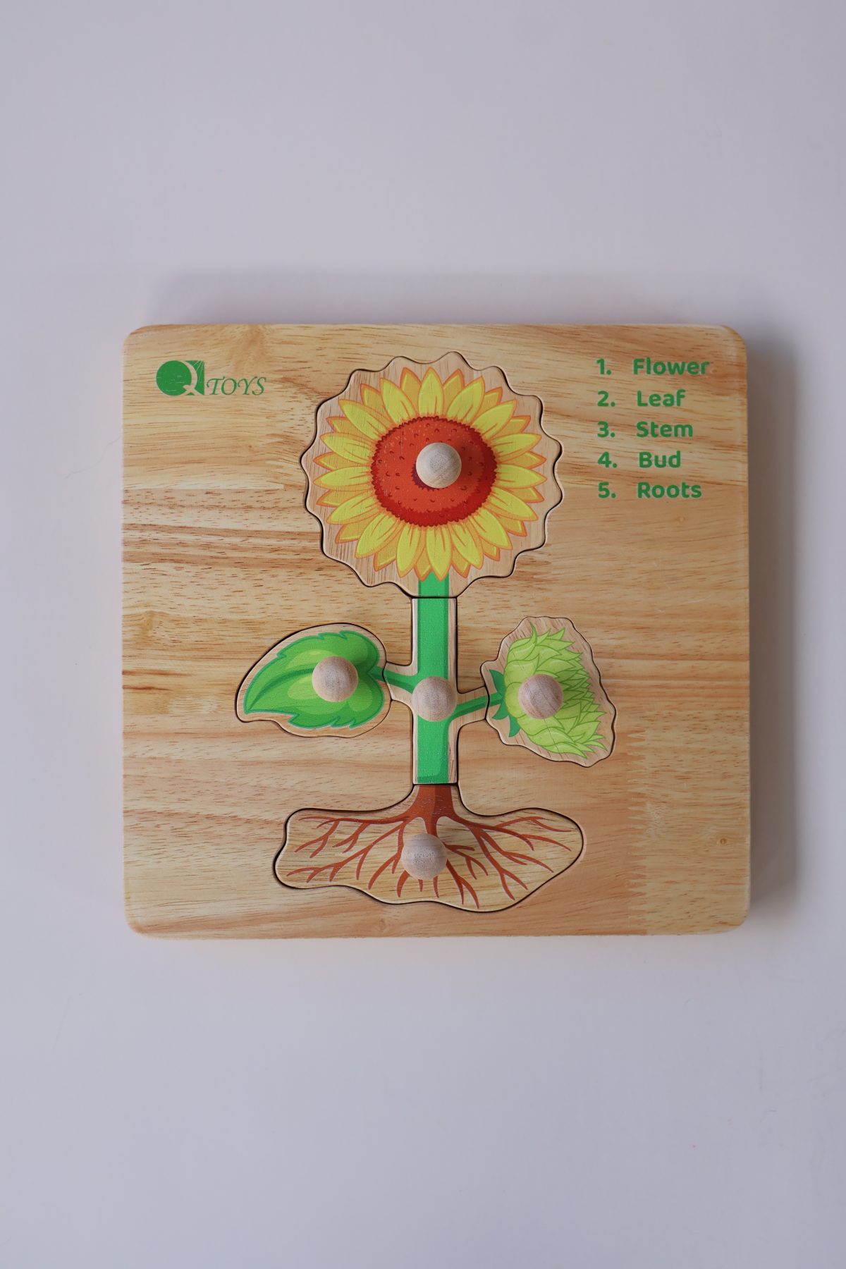 Montessori Parts of a Plant Puzzle - Image 3