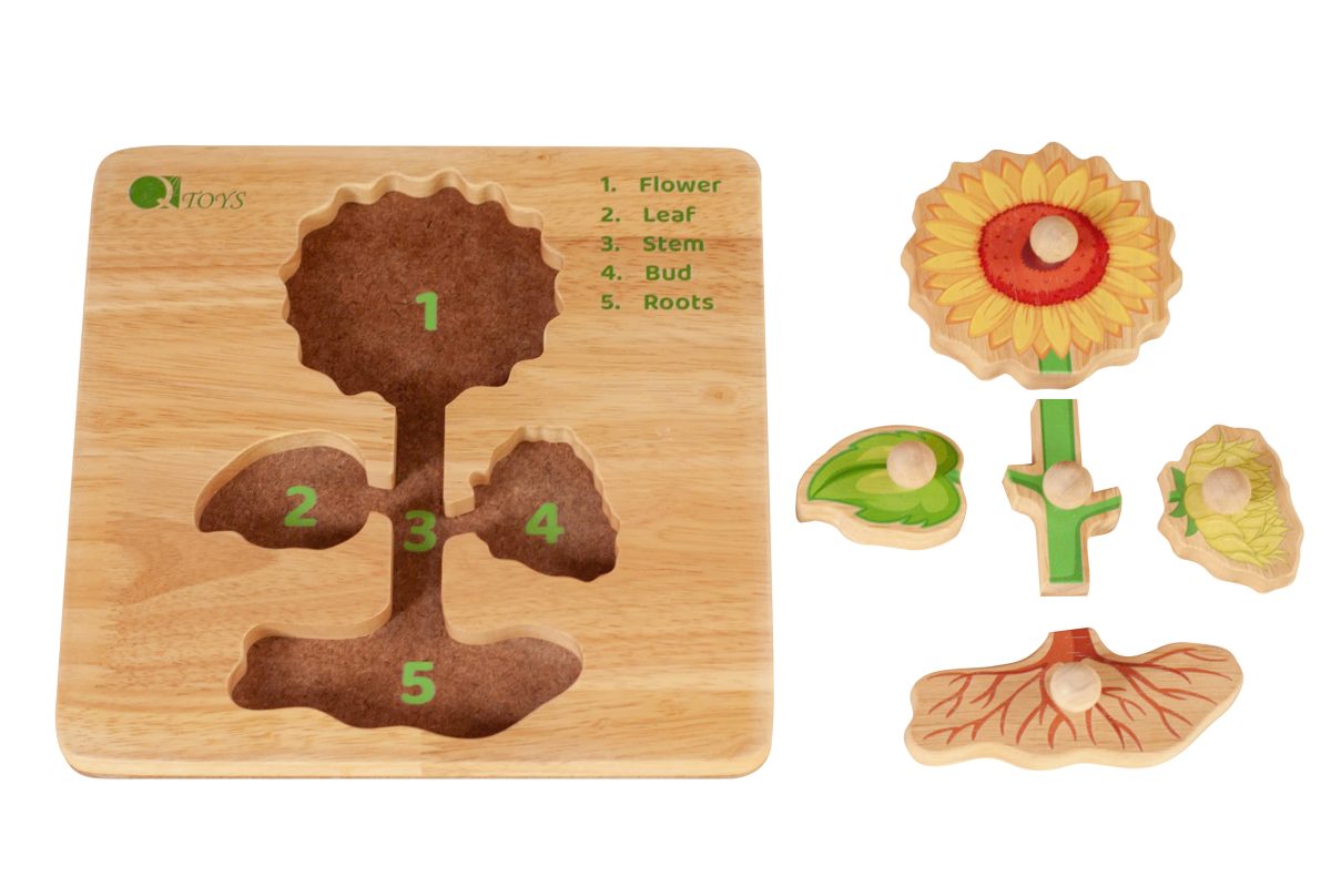 Montessori Parts of a Plant Puzzle - Image 5
