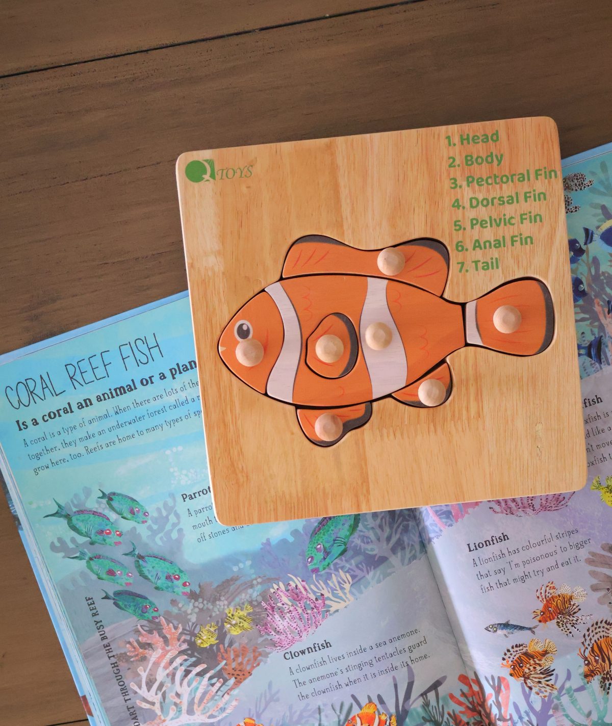 Montessori Fish Puzzle - Image 3