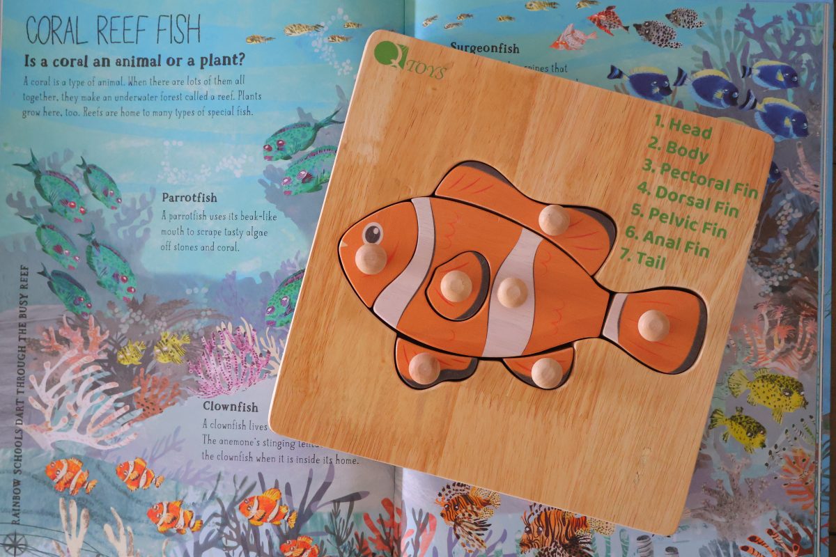 Montessori Fish Puzzle - Image 1