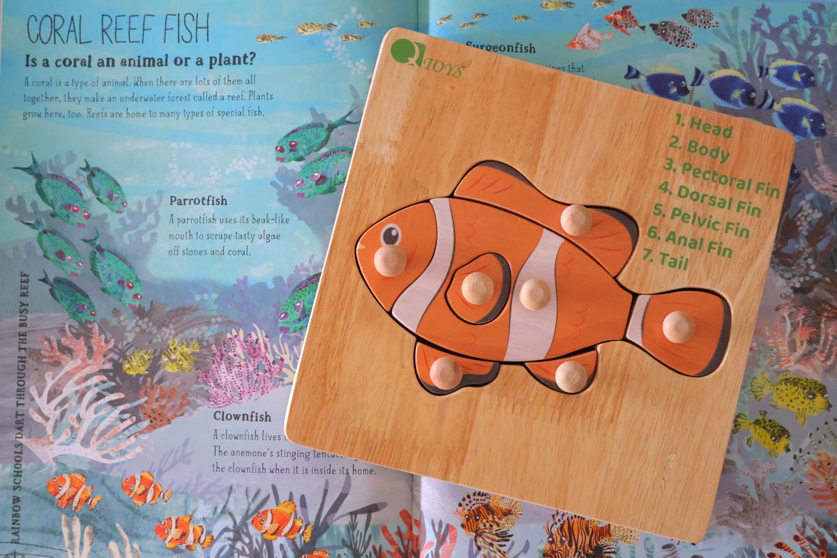 Montessori Fish Puzzle - Image 2