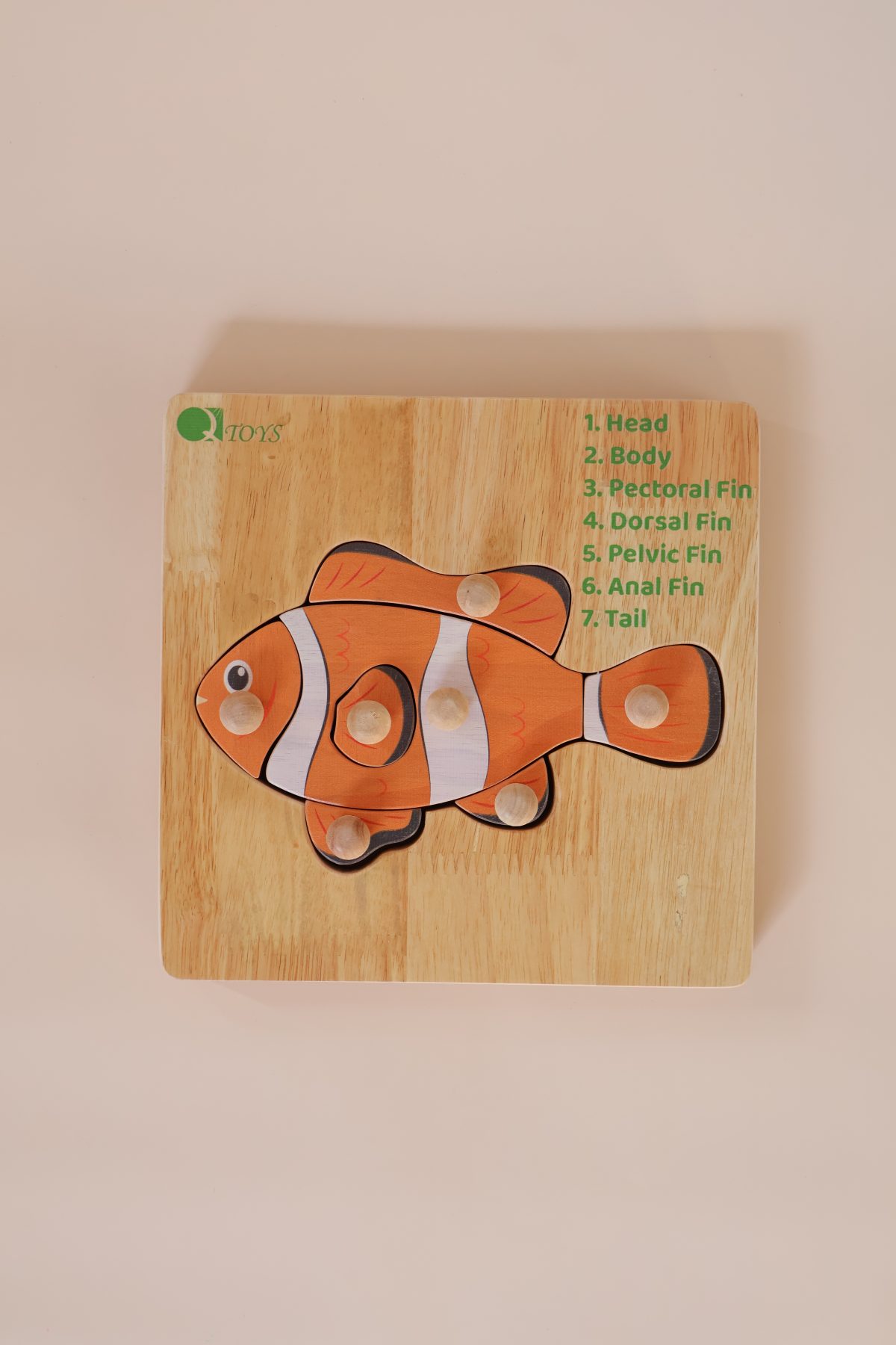 Montessori Fish Puzzle - Image 4