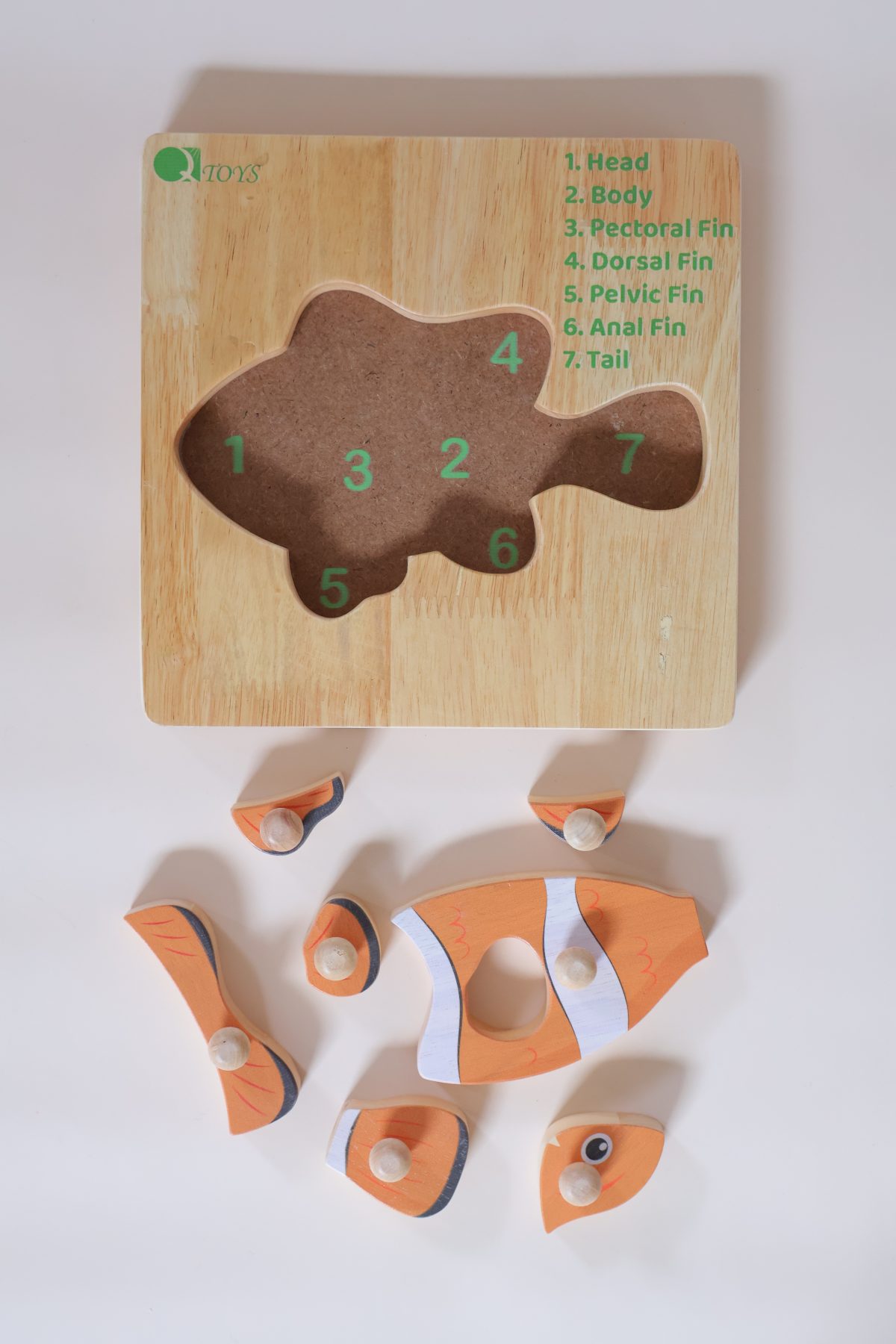 Montessori Fish Puzzle - Image 5