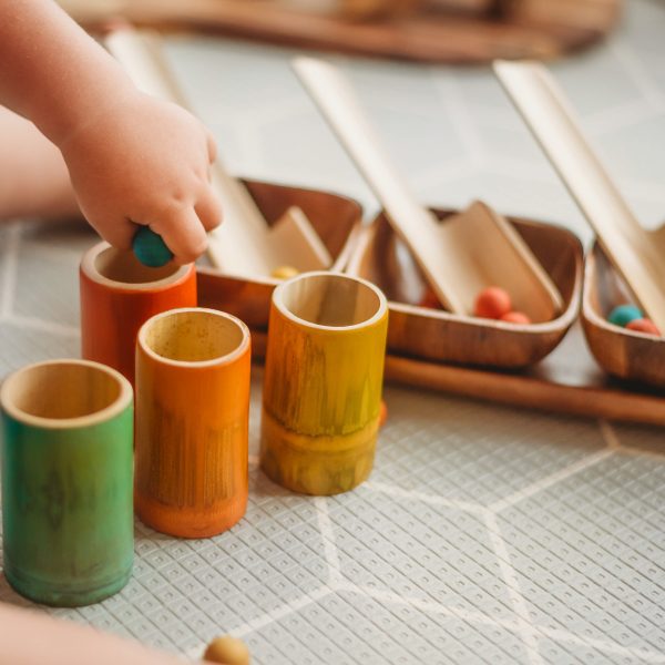 Rainbow Sorting Bundle