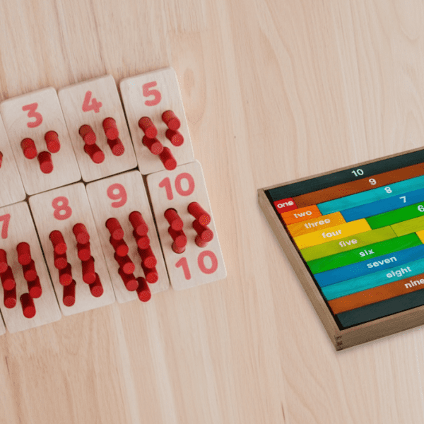Montessori Counting Set & Counting Rods