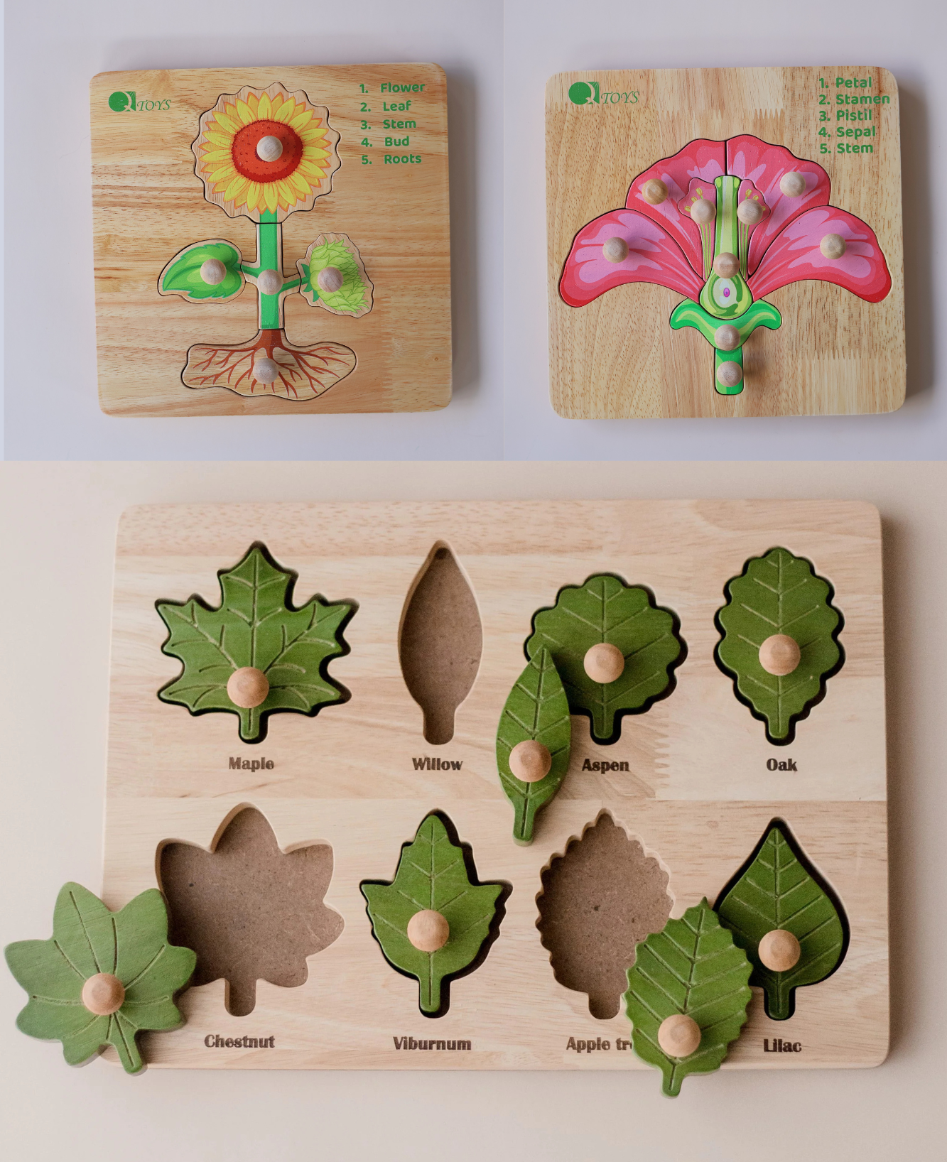 621 622 496 (1) Montessori Plants Bundle - Image 1